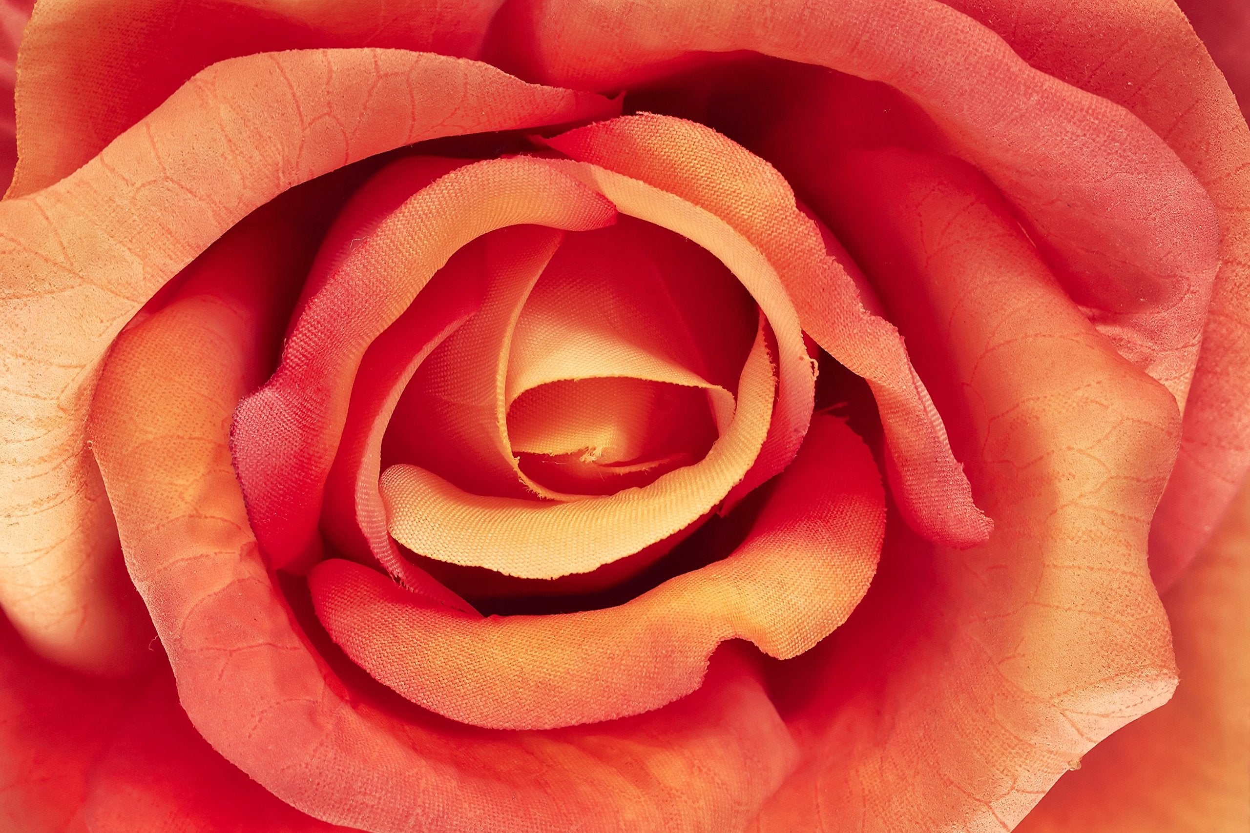 Canvas Prints Wall Art - Artficial Rose, Floral Background - 24'' X 36''