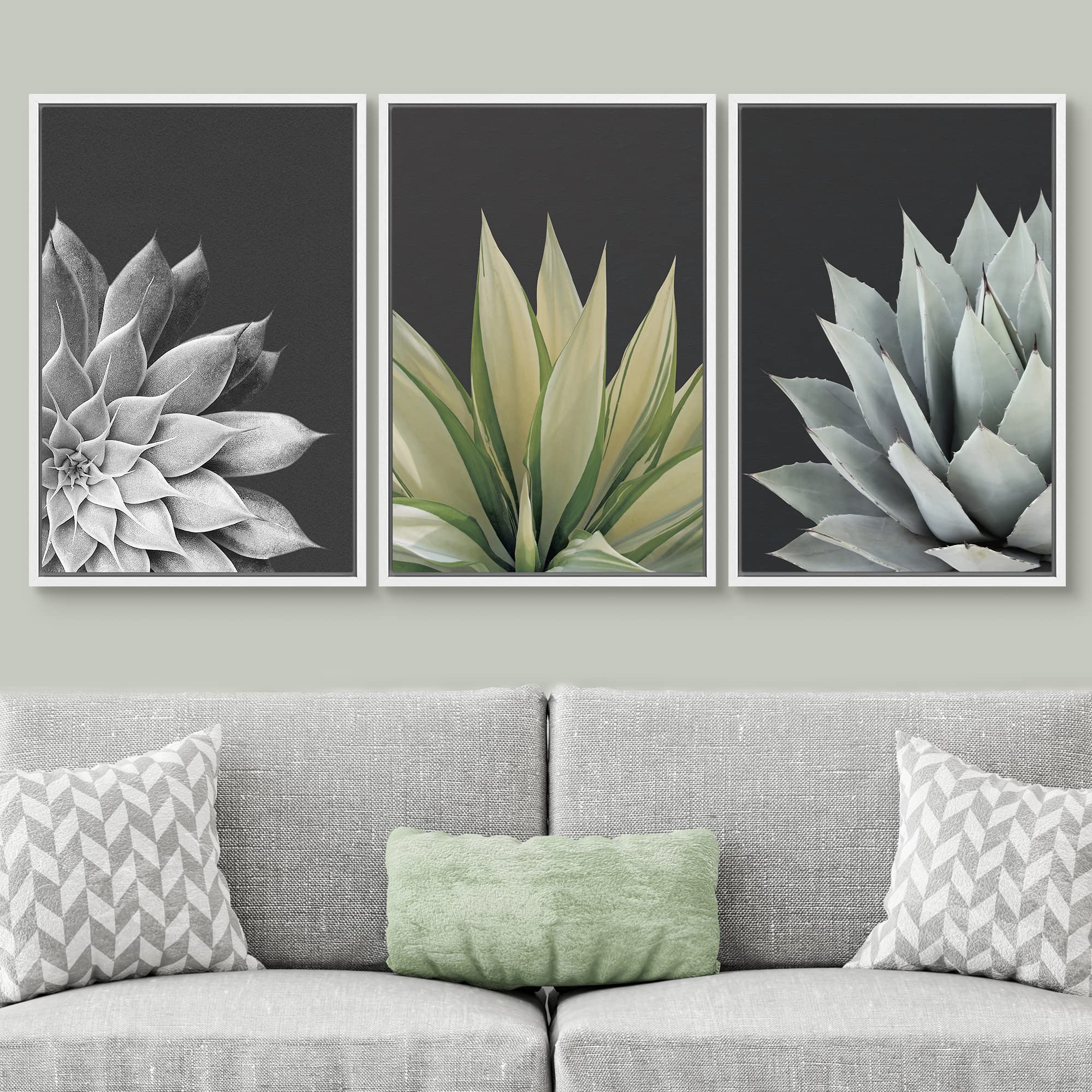 Signwin Framed Canvas Print Wall Art Trio Of Echevaria Succulents Floral Plants Photography Modern Art Minimalist Closeup Dramat