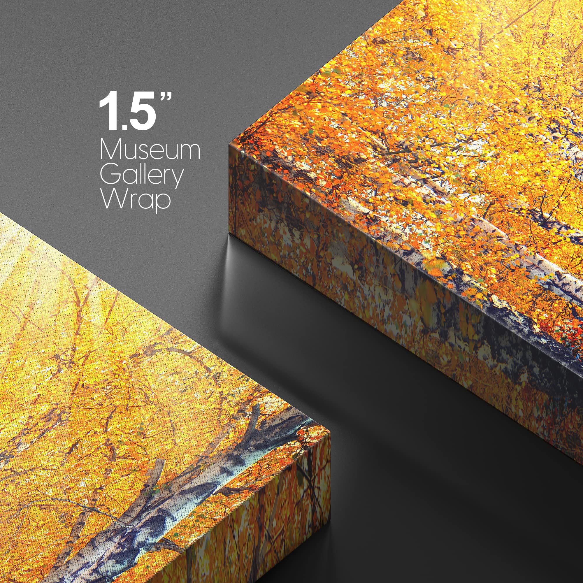 wall26 Canvas Print Wall Art Sunlight Shine Over Yellow Autumn Forest Path Nature Wilderness Photography Modern Art Rustic Scenic Colorful Multicolor for Living Room  Bedroom  Office - 32''x48''