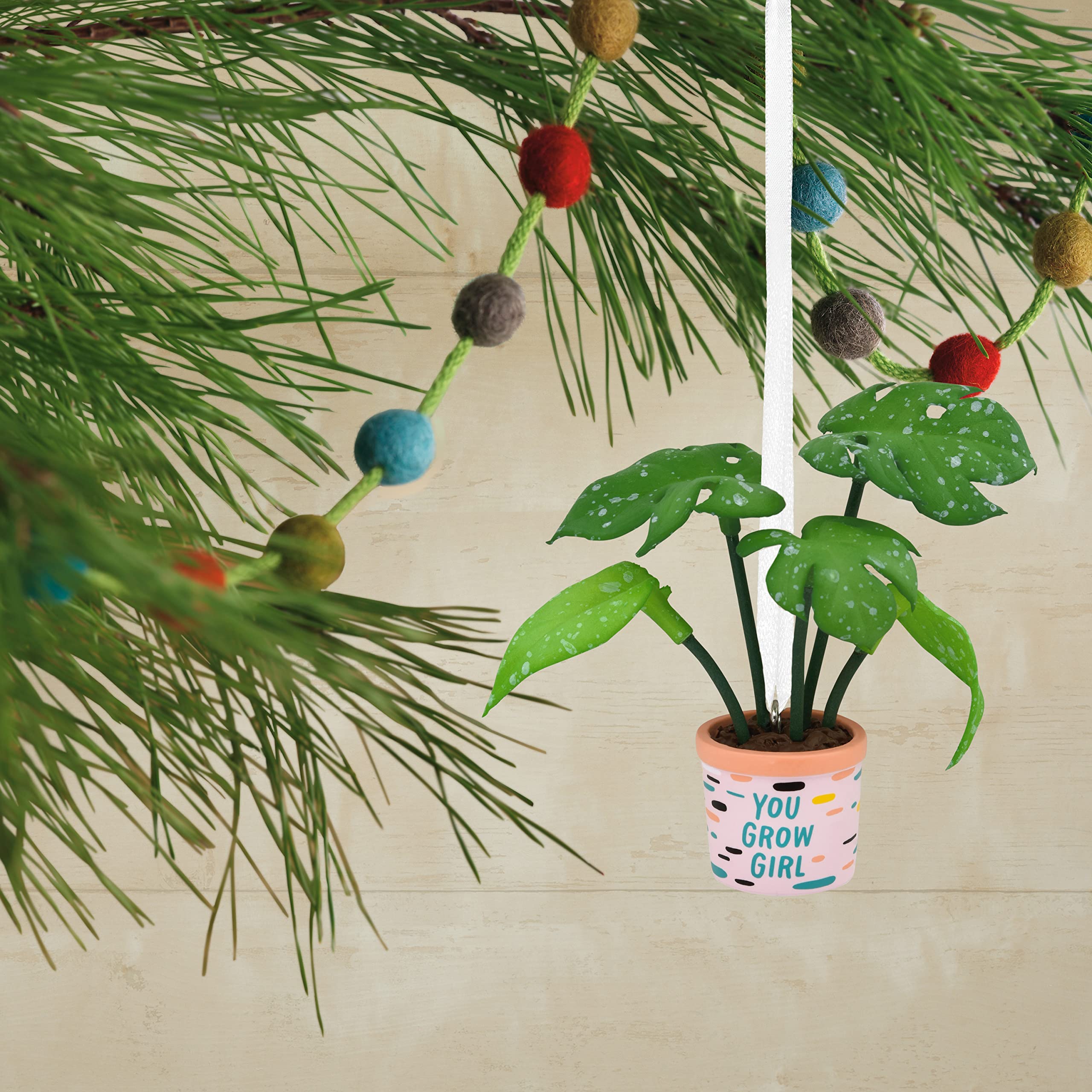 Hallmark Greenhouse Botanicals Christmas Ornament