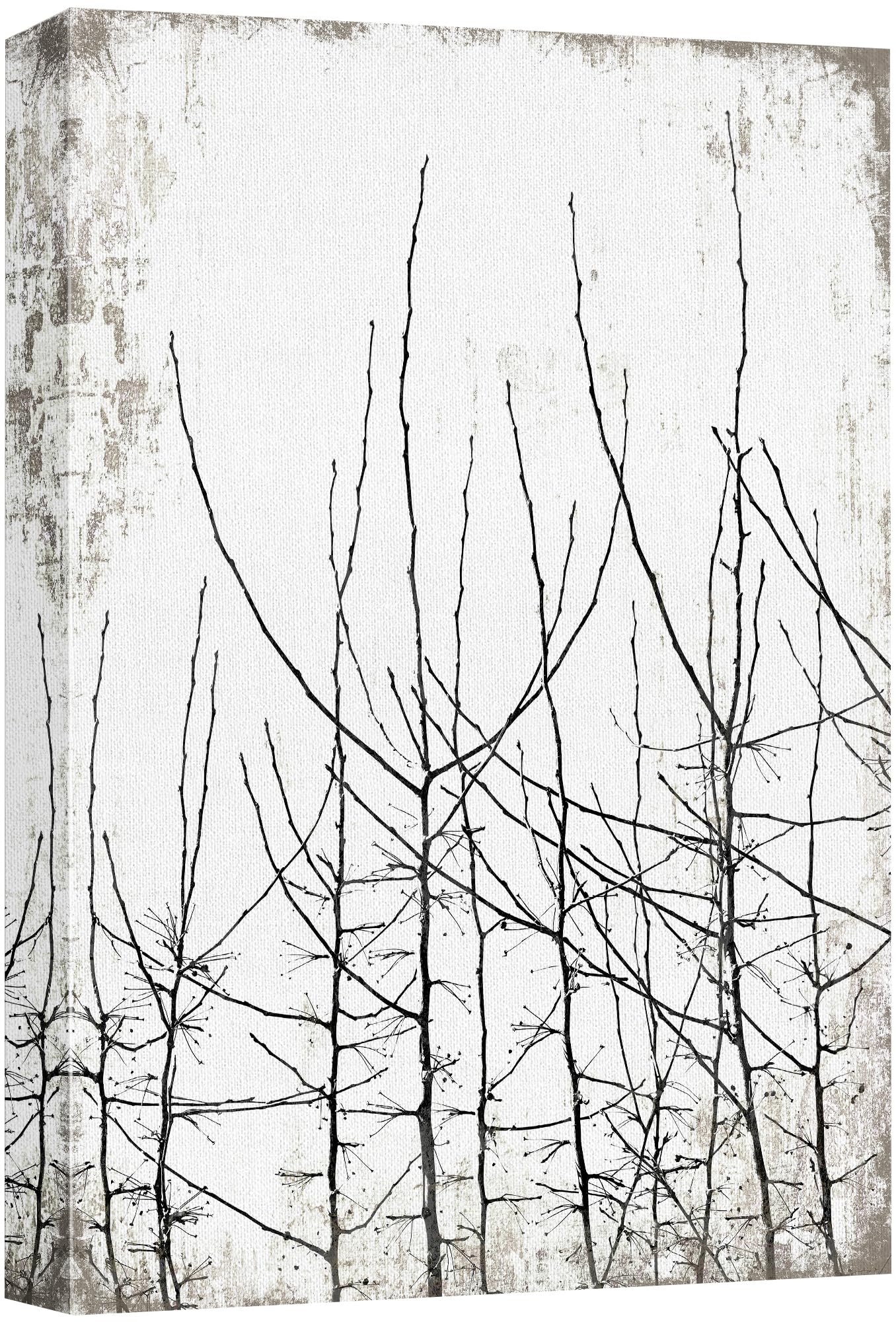 Wall26 Canvas Print Wall Art Black & White Forest Trees With Grunge Background Floral Nature Illustrations Modern Art Rustic Dra