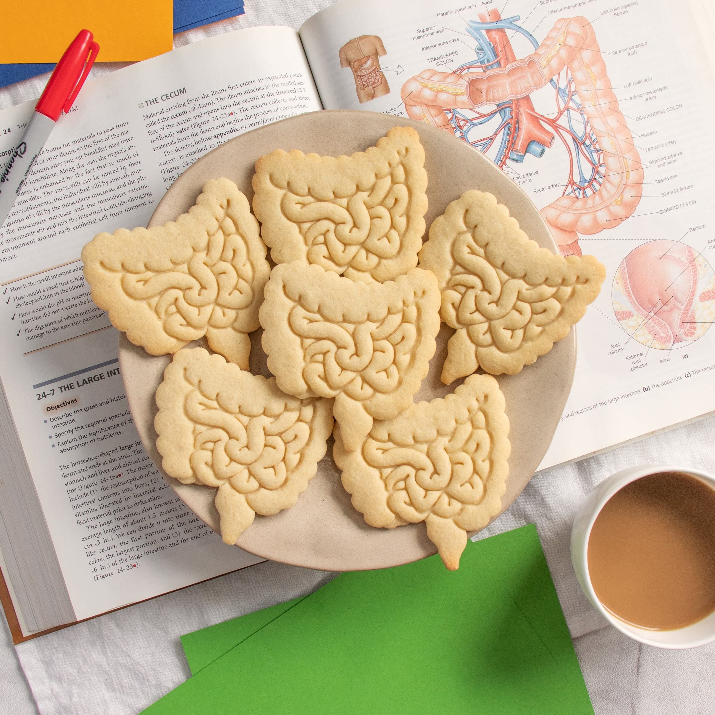 Intestines Cookie Cutter, 1 Piece - Bakerlogy