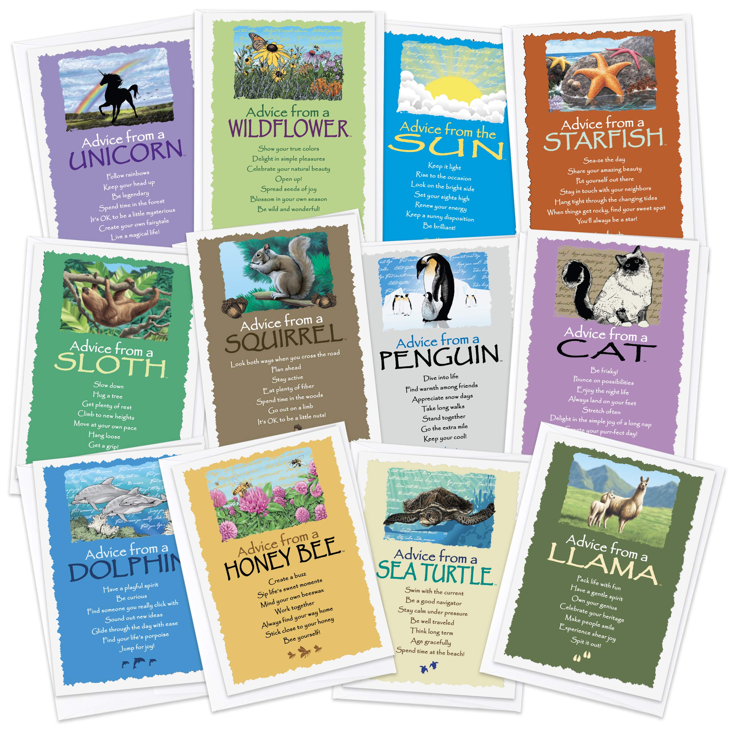 Your True Nature 12 All Occasion Greeting Card Playful Set - Advice From A Sloth, Llama, Cat, Dolphin, Bee, Penguin, Sea Turtle,