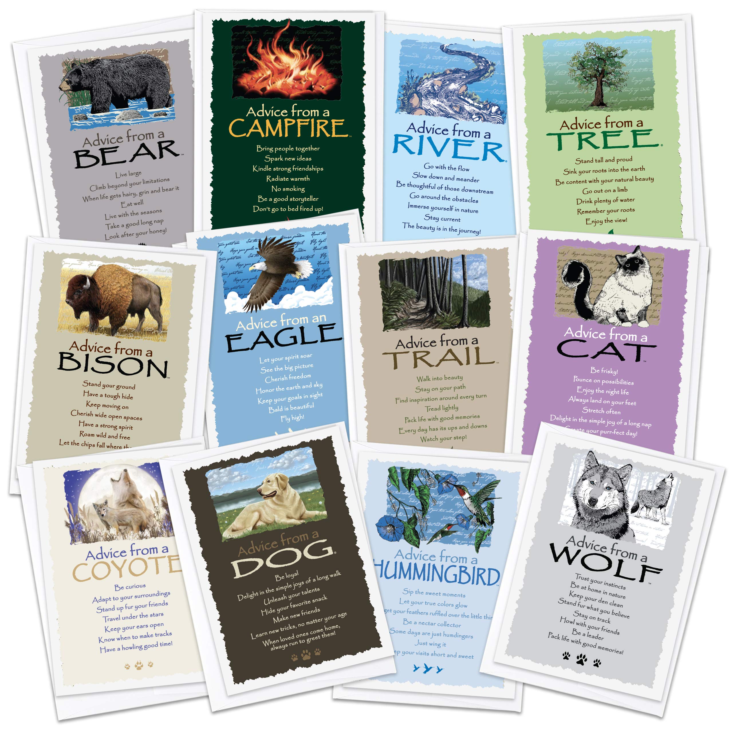 Your True Nature 12 Favorites Greeting Card Set - Advice From A Dog, Cat, Bear, Eagle, Hummingbird, River, Trail, Coyote, Tree,