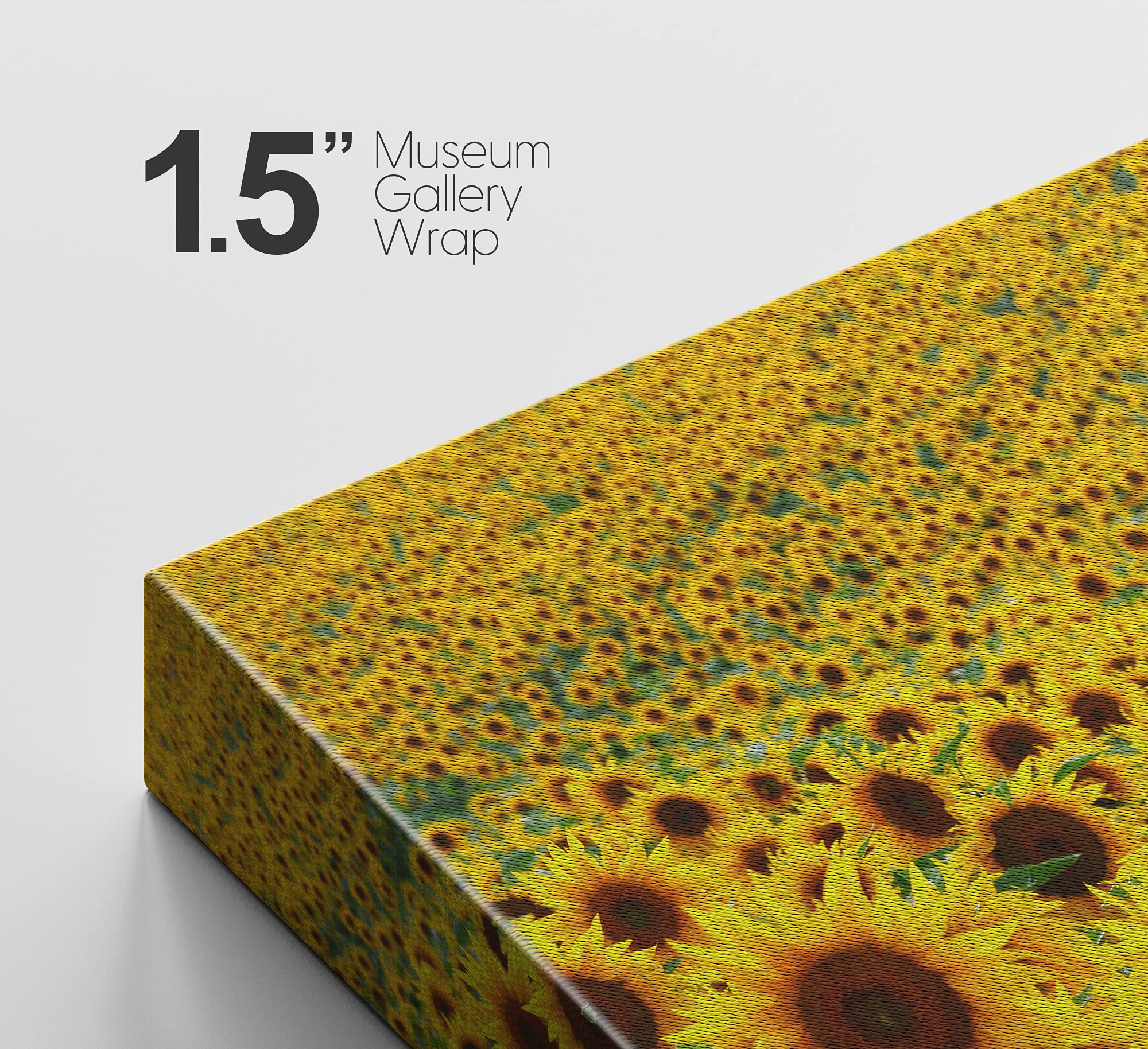 Signford Canvas Print Wall Art Hundreds Of Sunflowers In Field Floral Plants Photography Realism Contemporary Scenic Colorful Mu