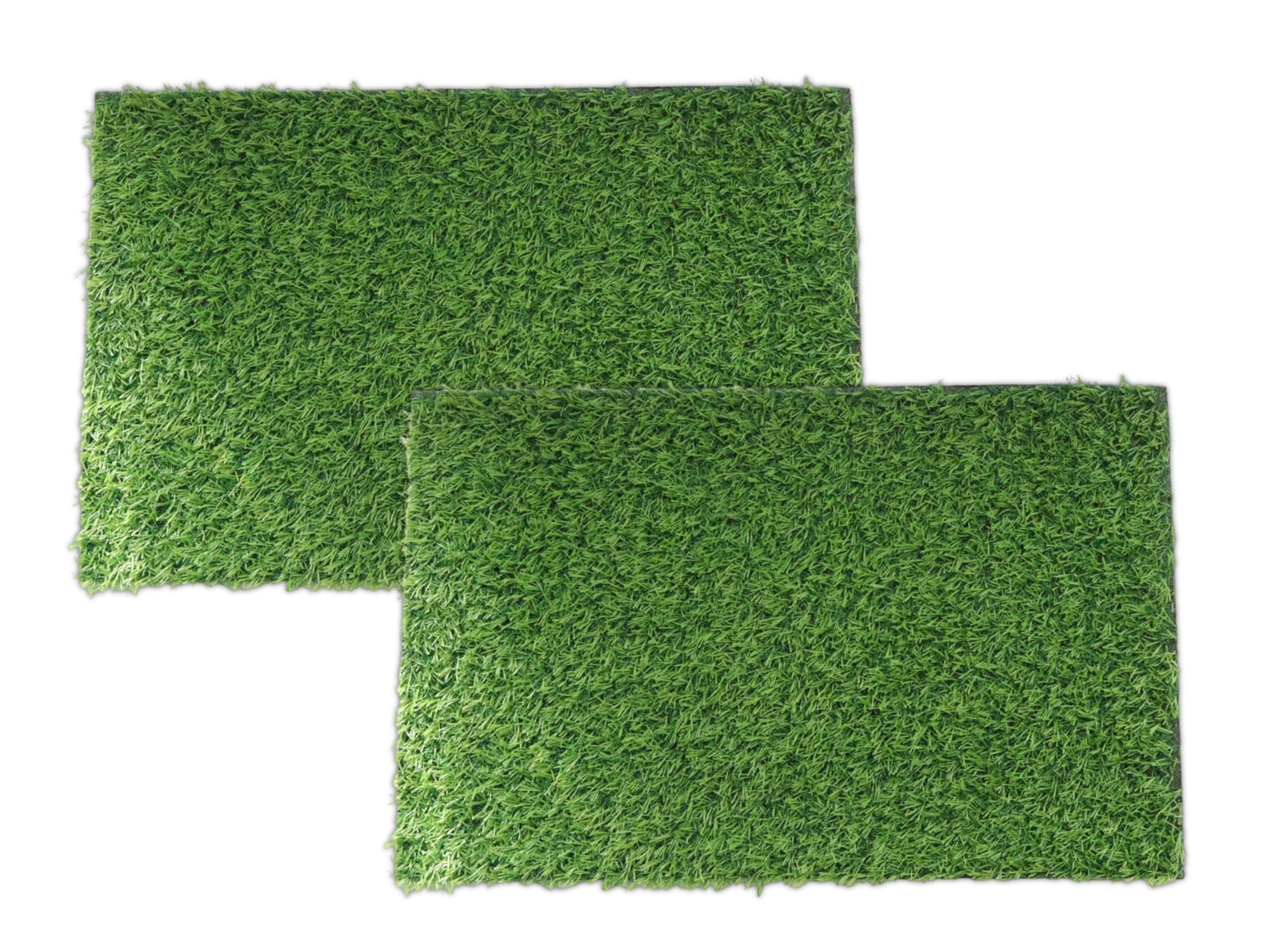 Pure Source India LongLife Synthetic Grass Door Mats For Home Entrance, Perfect Entryway For Bathroom, Main Door, Kitchen, Balc