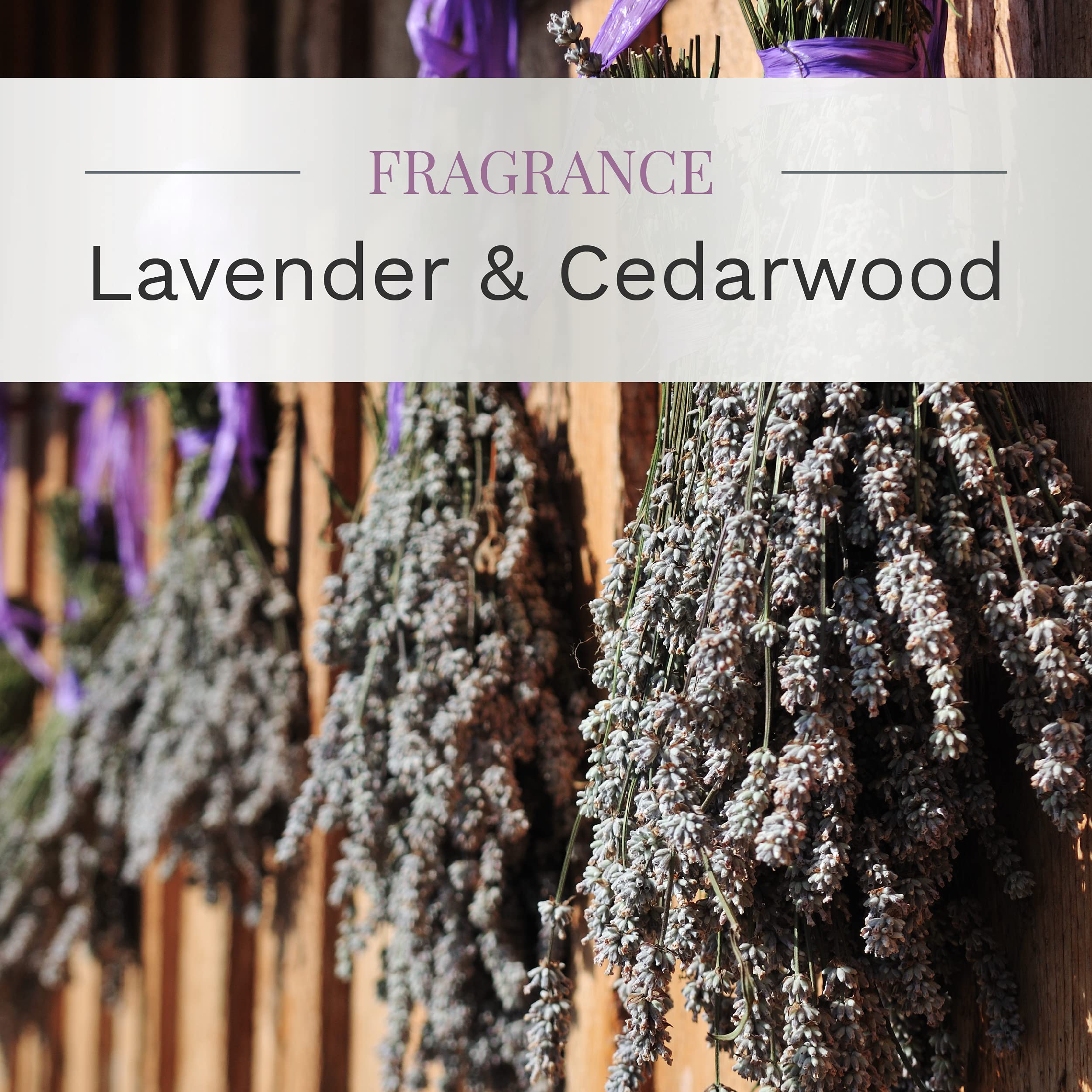 Essential Elements by Candle-lite Scented Candles, Lavender & Cedarwood Fragrance, One 14.75 oz. Three-Wick Aromatherapy Candle