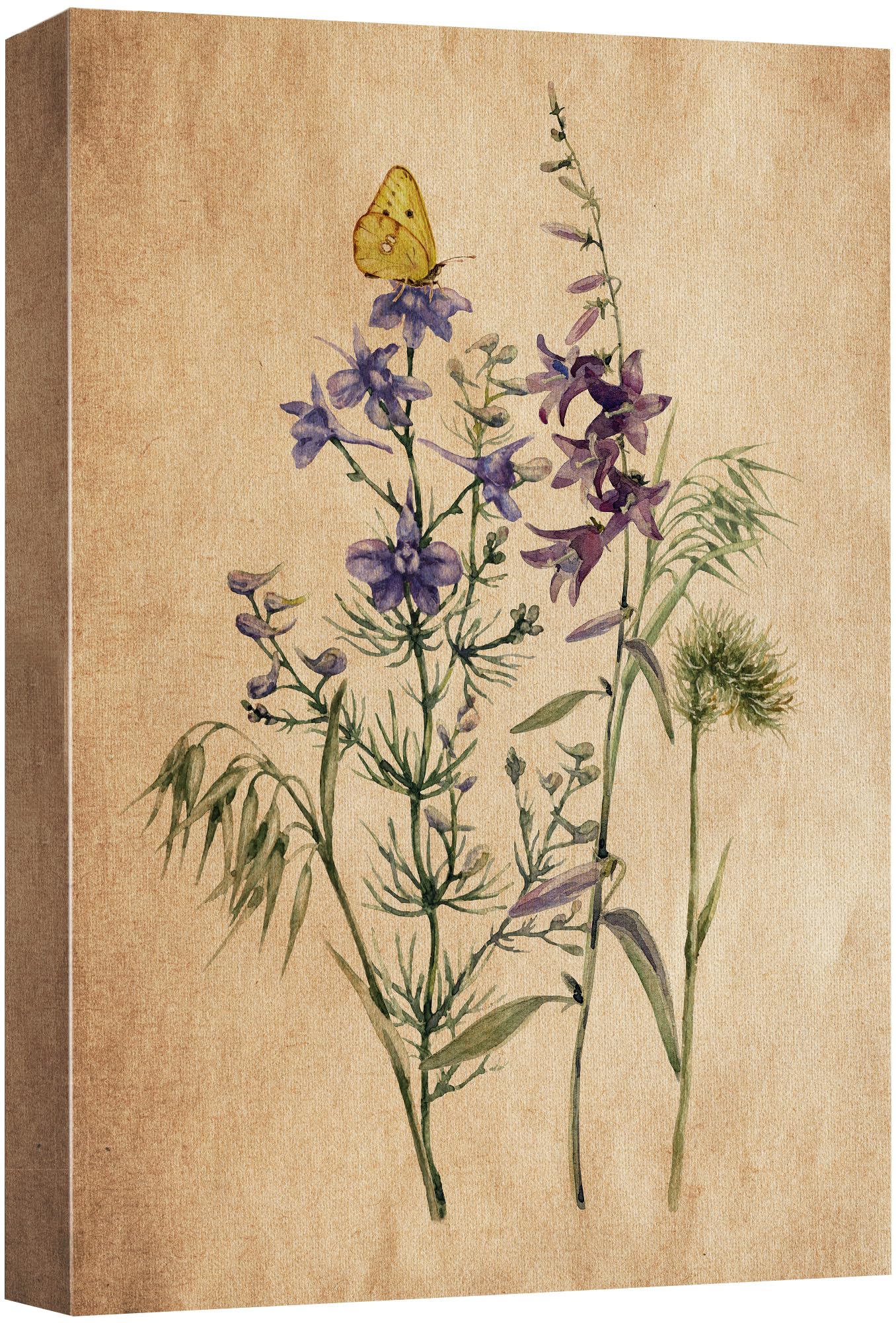 Wall26 Canvas Print Wall Art Antique Lavender Blue Wildflowers Nature Wilderness Illustrations Modern Art Botanical Floral Farmh