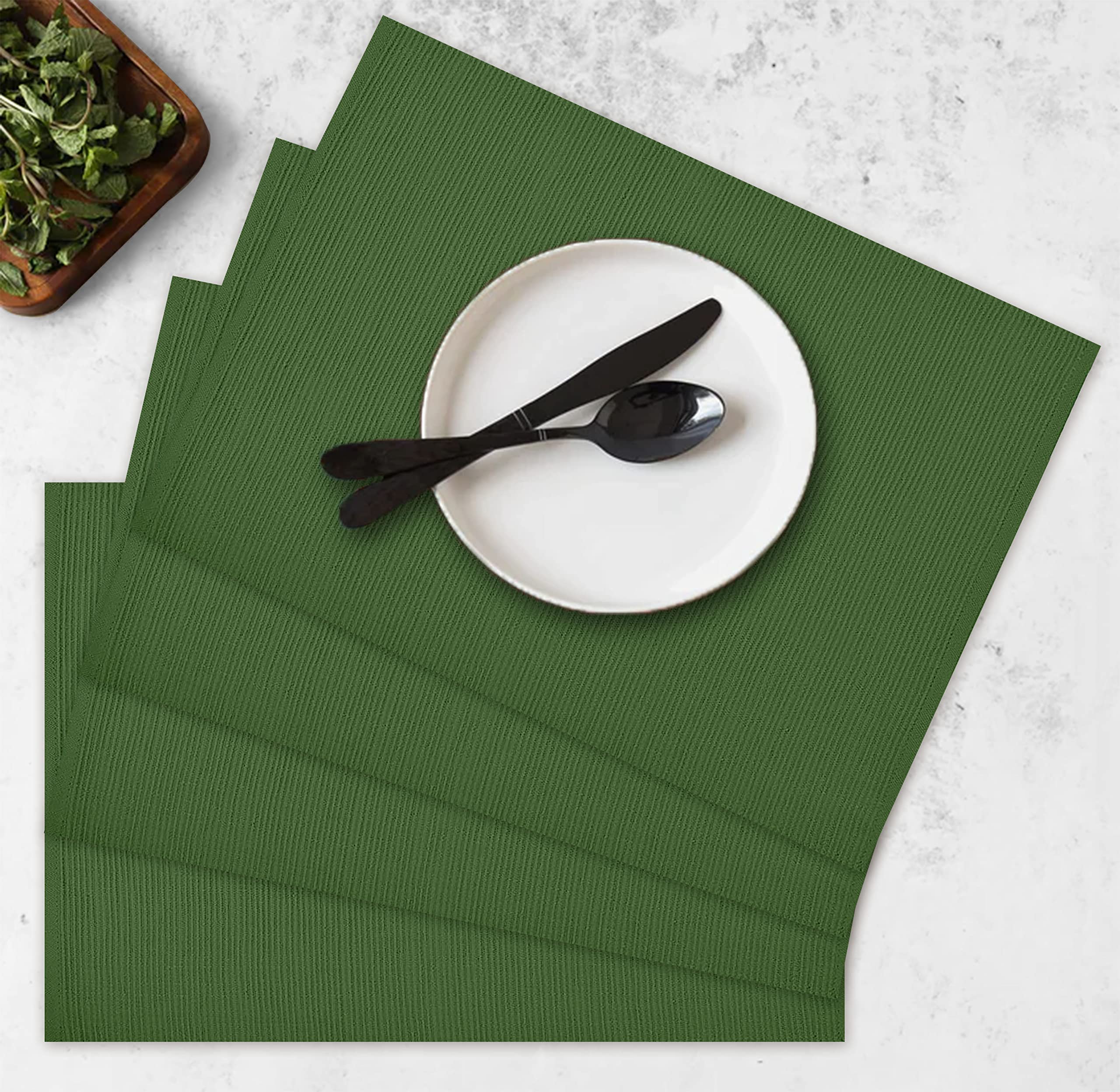 Oasis Home Collection Cotton Reversible Colorful Table Placemats  Pack of 4 (Mint Green)