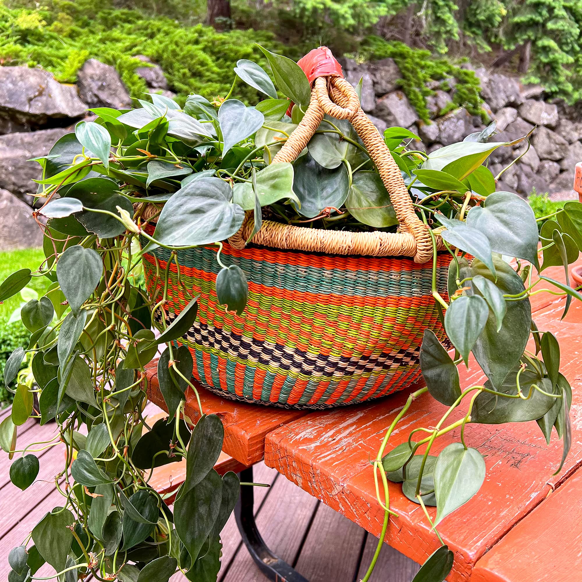 Africa Heartwood Project - Deluxe Colorful African Basket With Leather Handles - Handmade From Dried Elephant Grass, Hand-Woven