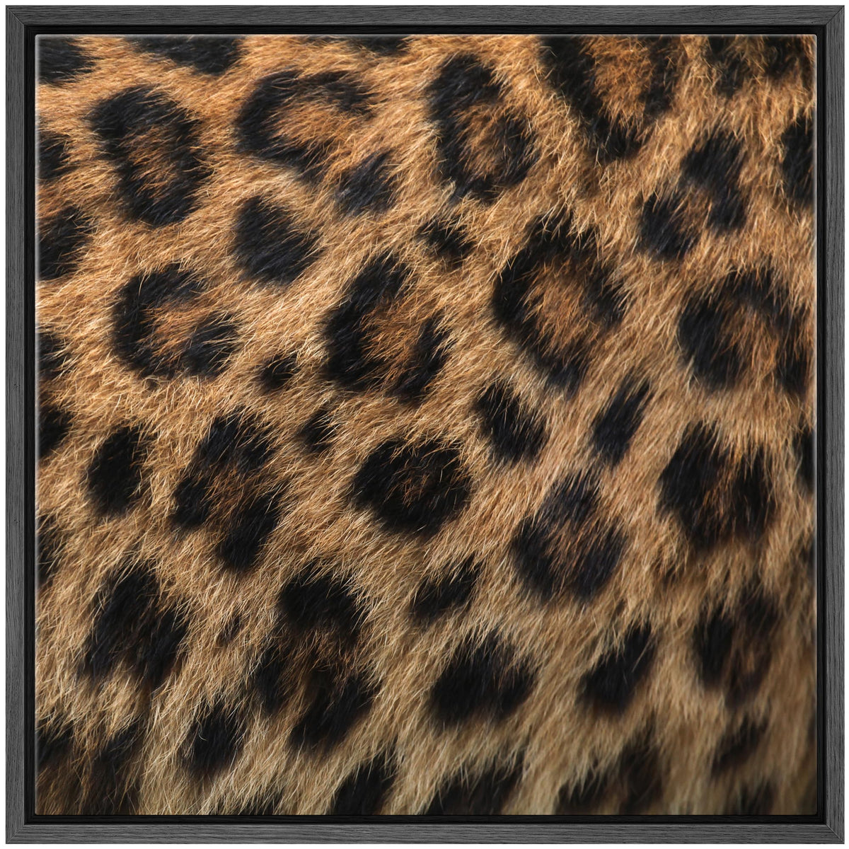 Wall26 Framed Framed Canvas Prints Wall Art Framed Framed Canvas Prints Wall Art - Leopard Fur/Skin Texture - 16''X16'' Black