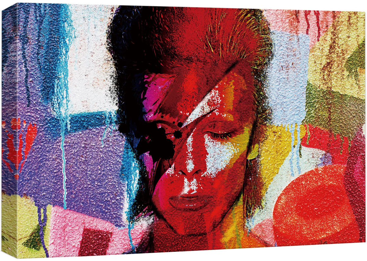 Signwin Framed Canvas Wall Art David Bowie Ziggy Stardust Colorful Collage Graffiti & Street Art Famous People Pop Art Modern Ur
