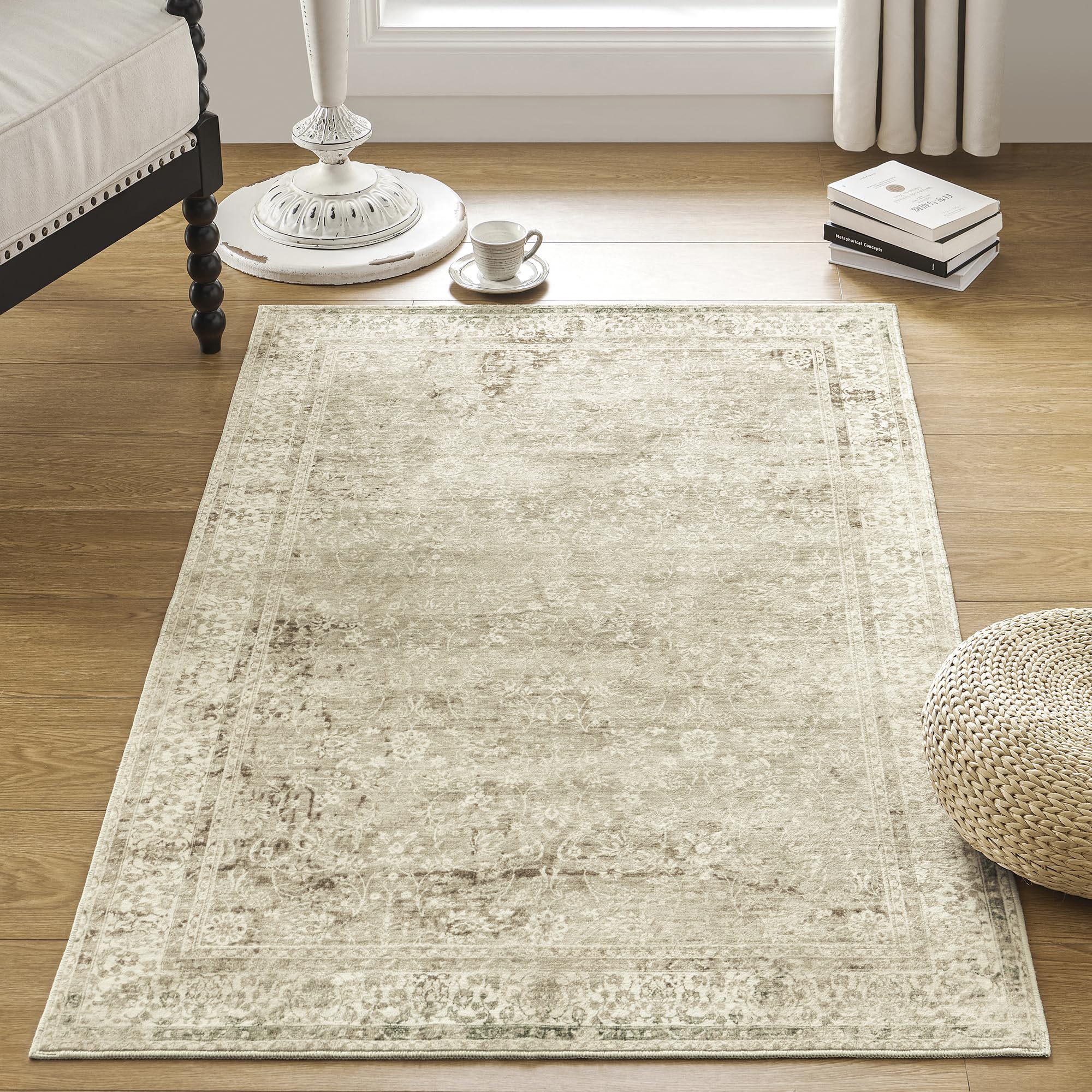 3x5 Small Entryway Area Rug Indoor for Front Door Entry Way,Washable Non Slip Ultra Thin Modern Farmhouse Neutral Boho Door Mat 