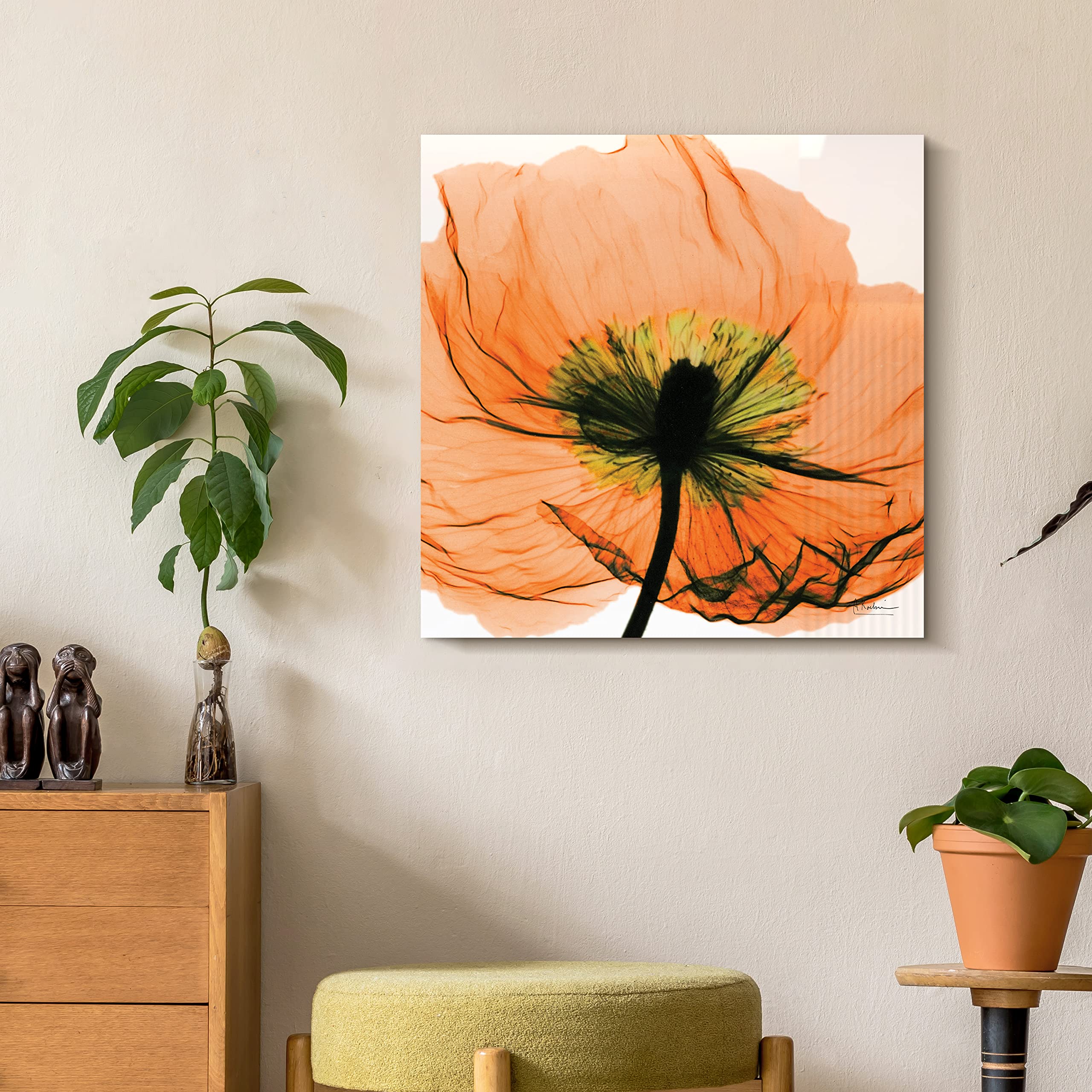 Empire Art Direct Frameless Free Floating Tempered Glass Panel Graphic Wall Art Ready To Hang, 24'' X 24'', Poppy Orange