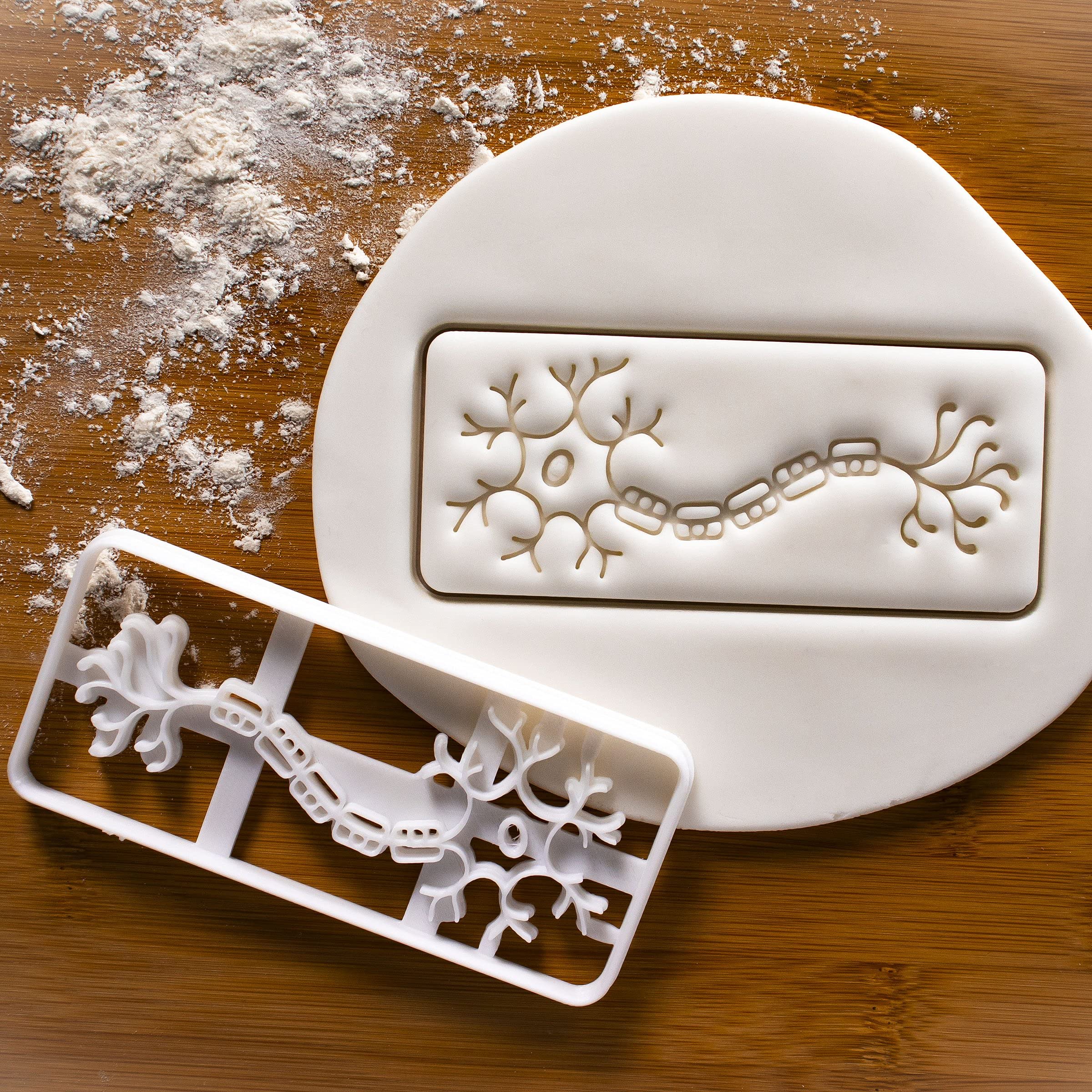 Set Of 2 Cookie Cutters (Designs: Neuron & Brain Axial Section), 2 Pieces - Bakerlogy