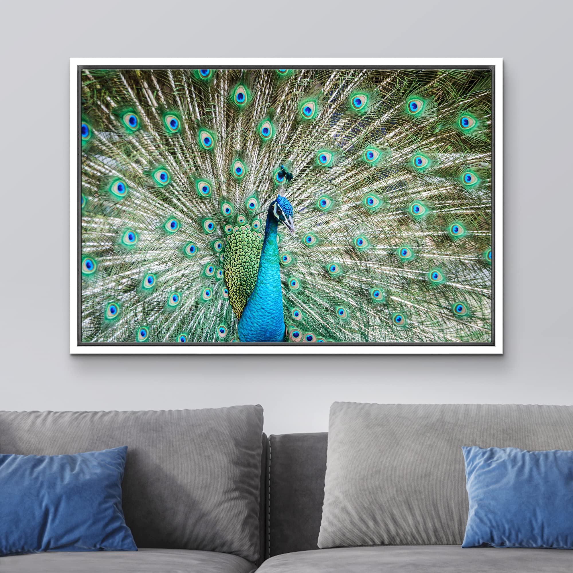 Wall26 Framed Canvas Prints Wall Art Peacock Showing Its Beautiful Feathers/Spreading Its Tail | Wall Decor Stretched Gallery Fr