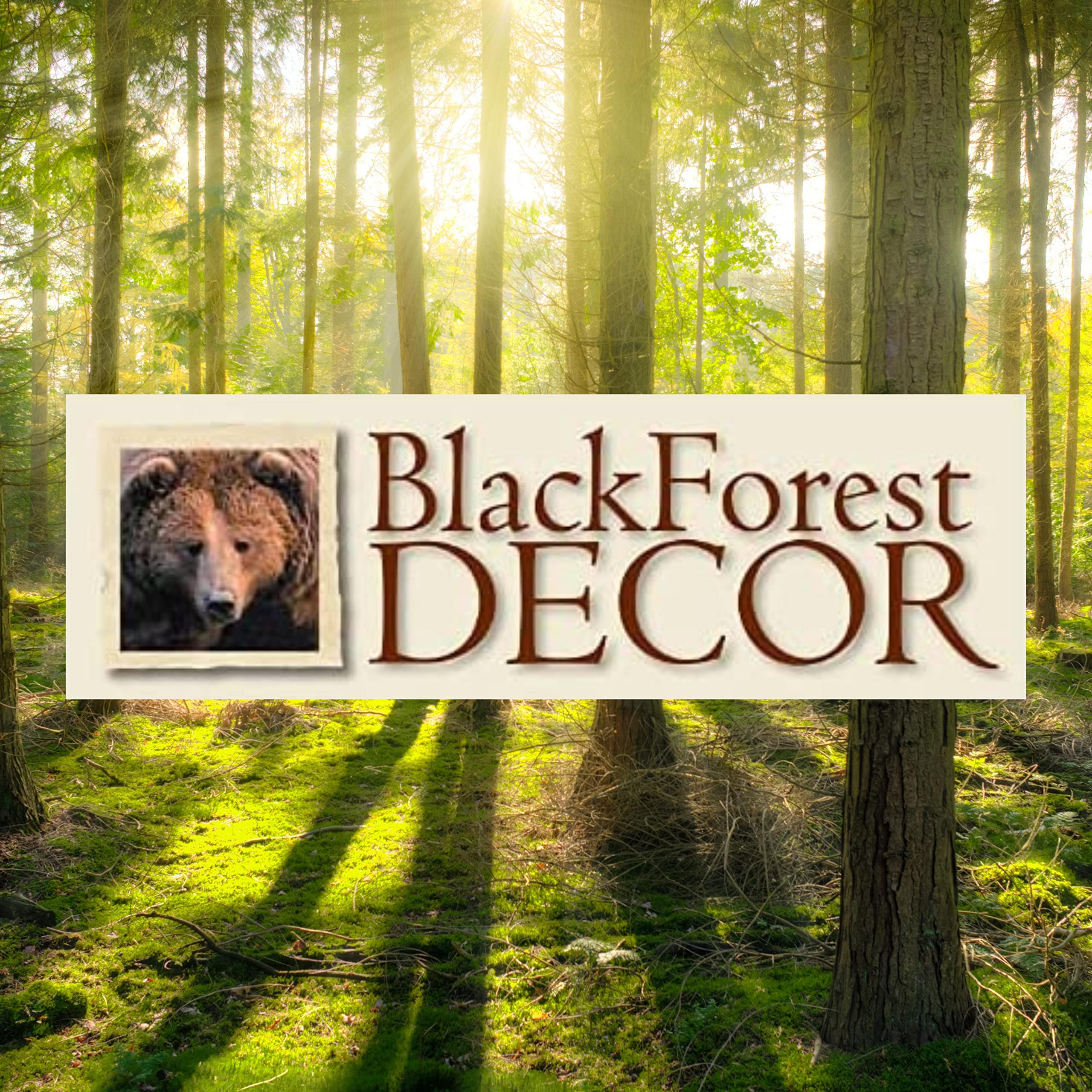 Black Forest Decor Horse Over-The-Door Cowboy Hat Rack