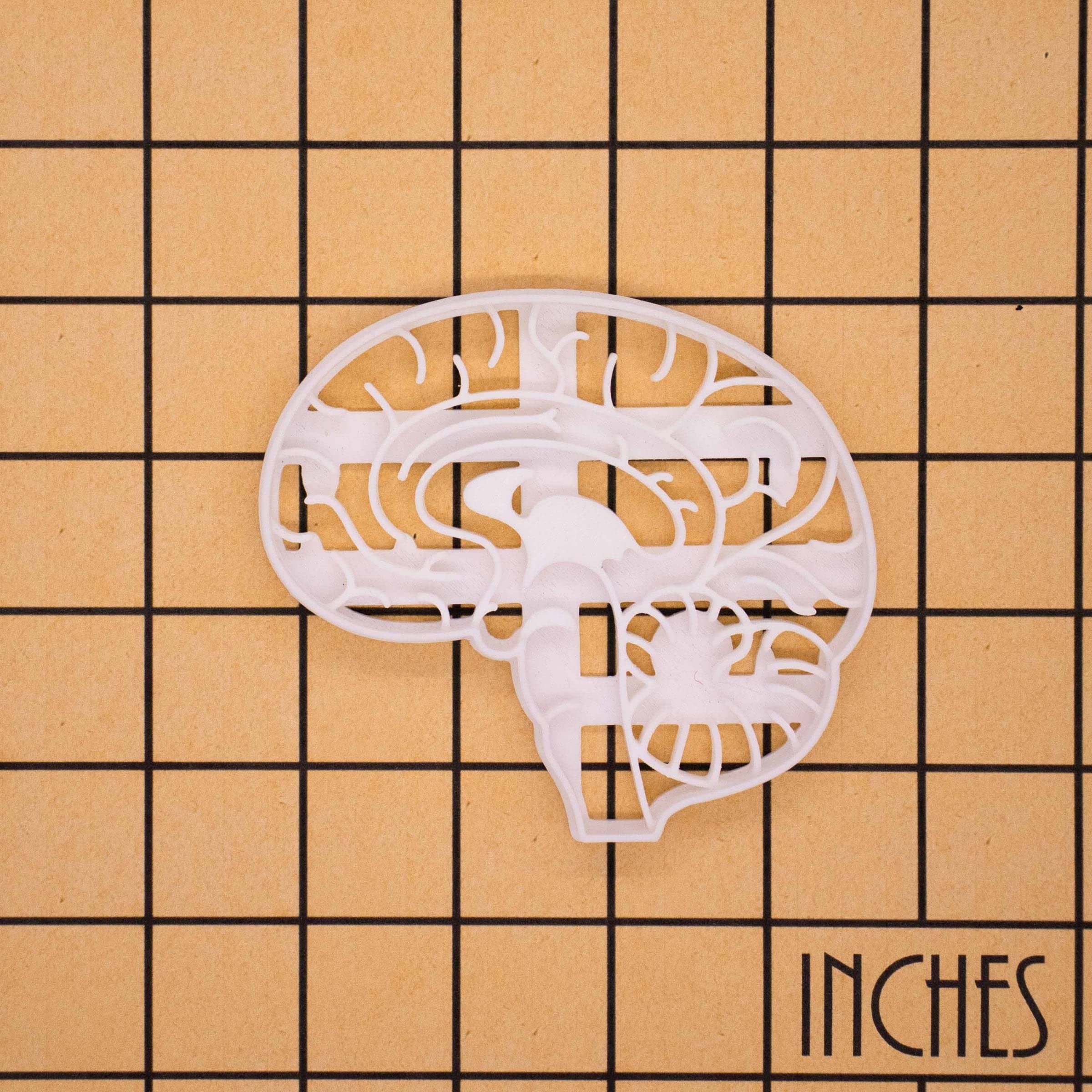 Anatomical Brain Cookie Cutter, 1 Piece - Bakerlogy
