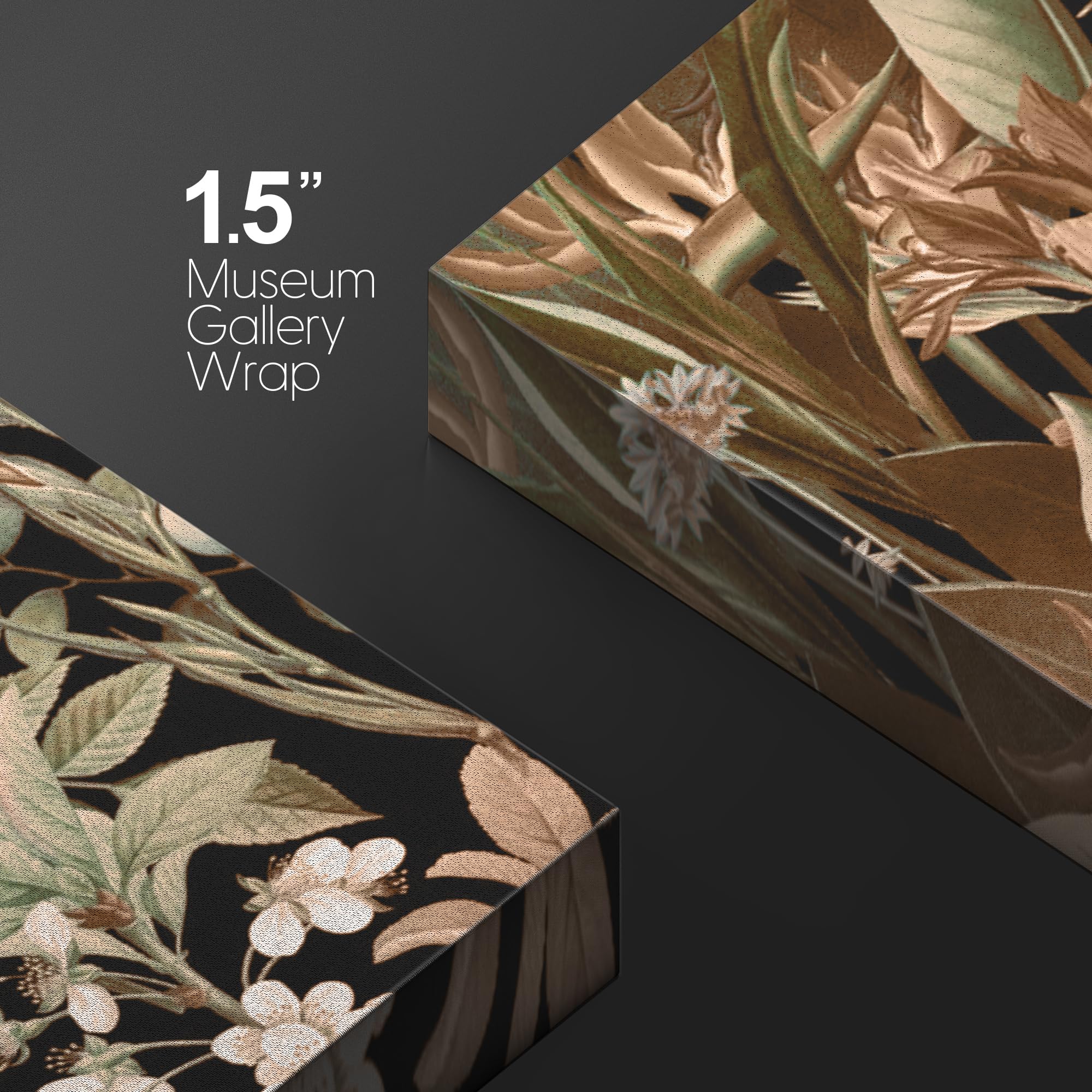 Wall26 Canvas Print Wall Art Exotic Butterfly And Botanical Intricate Nature Wilderness Photography Modern Art Decorative Countr