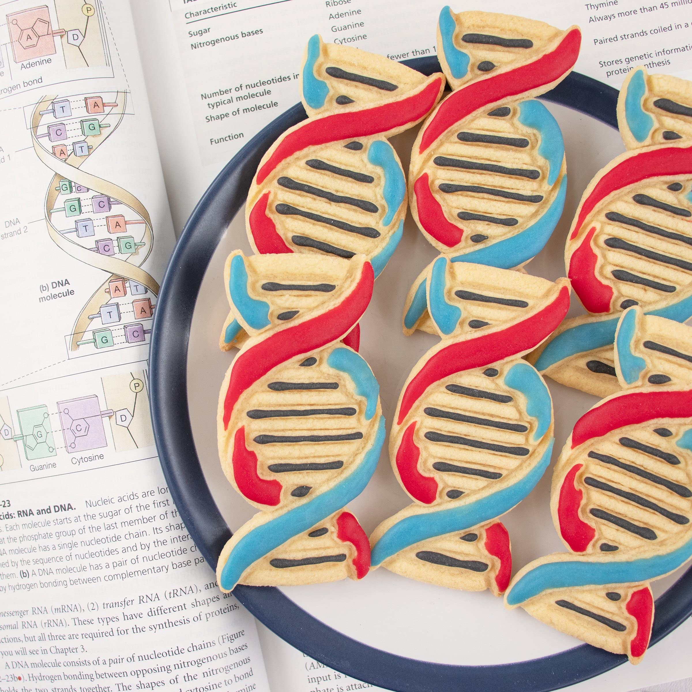 Dna Cookie Cutter, 1 Piece - Bakerlogy