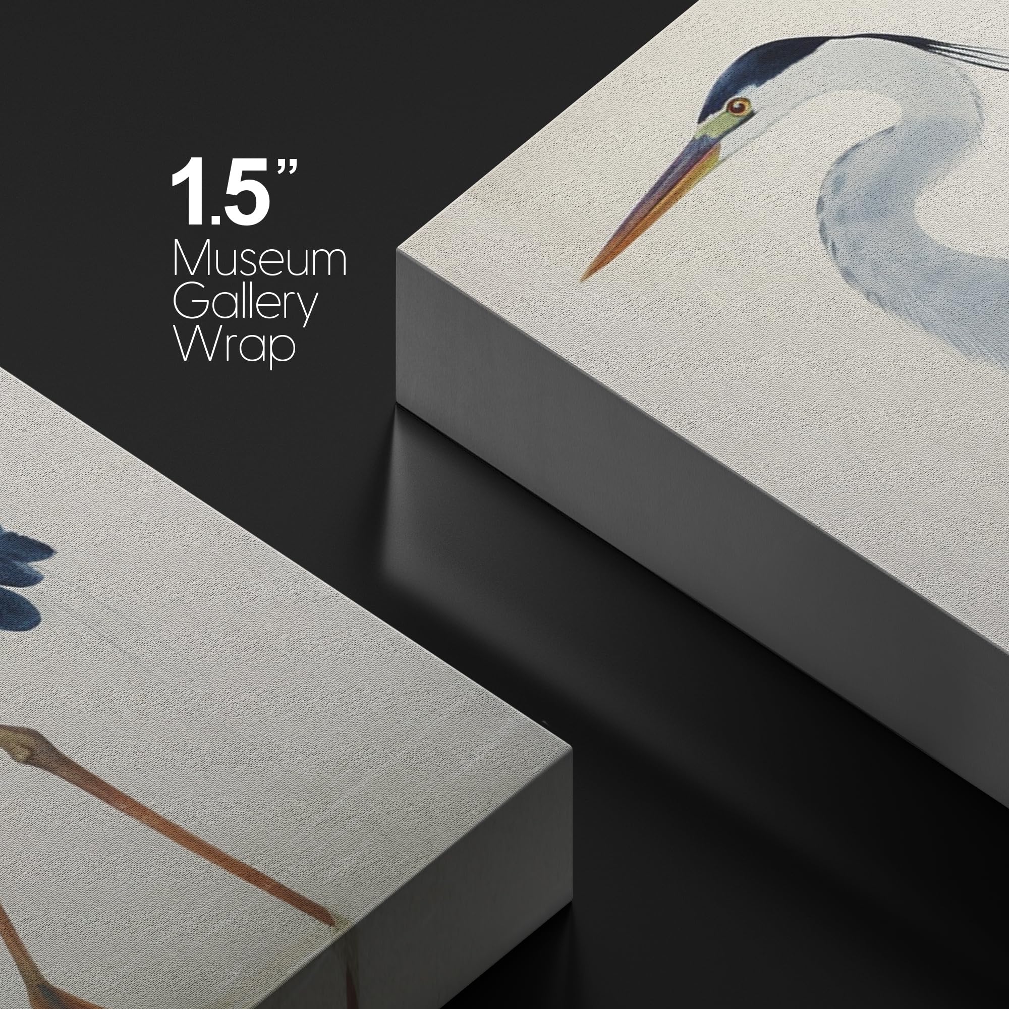 Wall26 Canvas Print Wall Art Watercolor Pastel Blue Heron Galapagos Bird Animals Wilderness Illustrations Modern Art Antique Vin