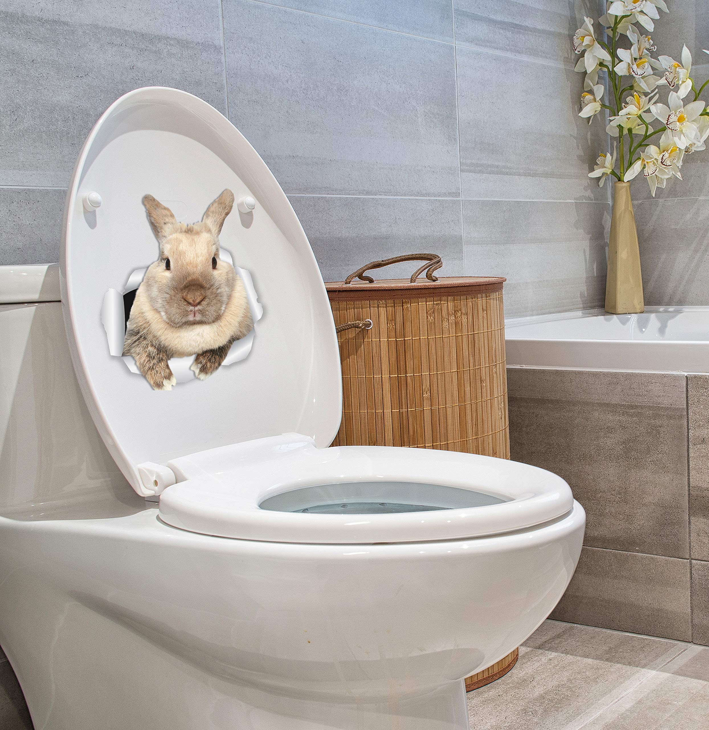 Winston & Bear Rascally Rabbit Wall Decals - Easter Decor - 2 Pack - Bunny Toilet Sticker - 3D Cat Car Window And Bumper Sticker