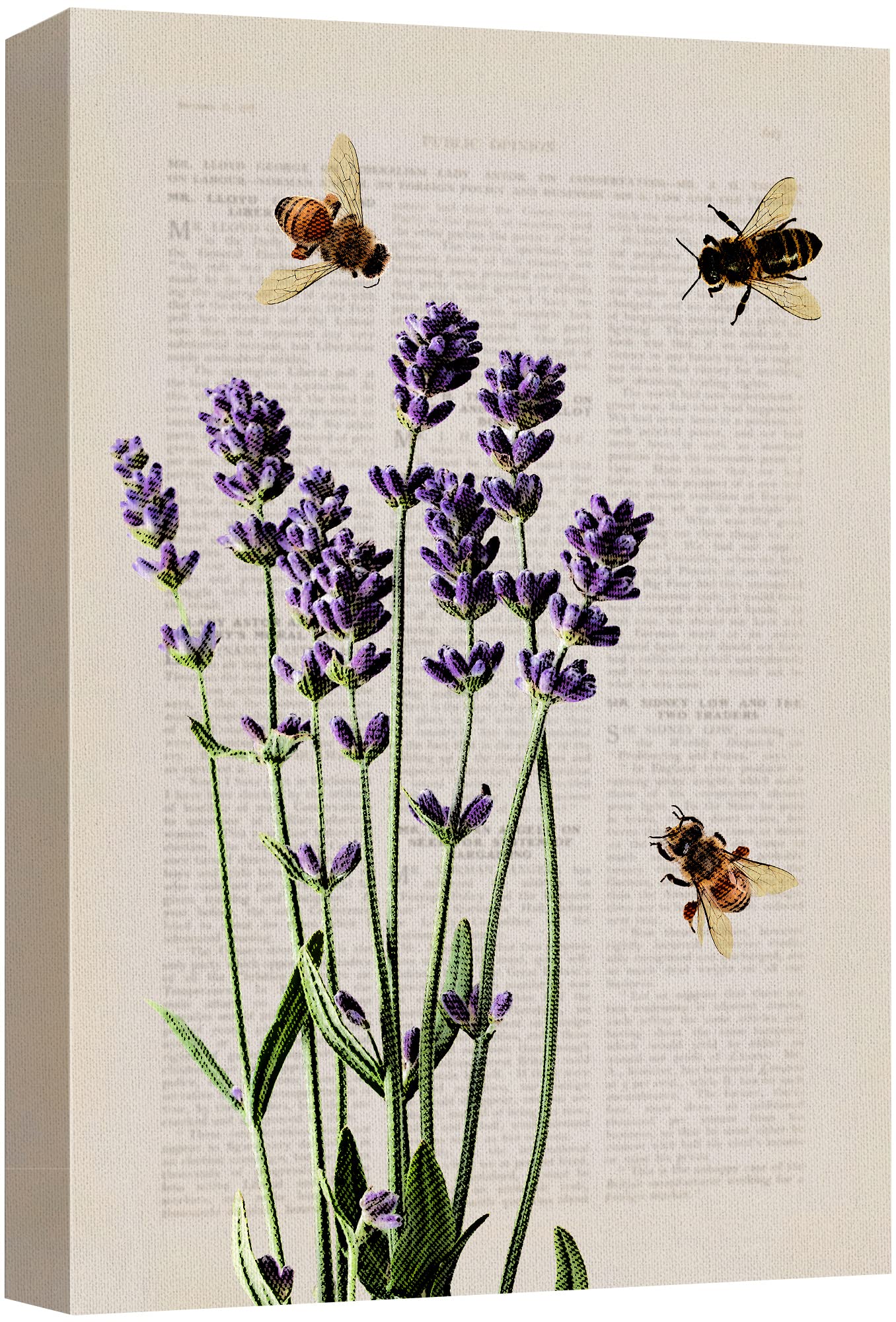 Wall26 Canvas Print Wall Art Lavender Flowers With Bees And Newspaper Print Floral Botanical Digital Art Modern Chic Scenic Colo
