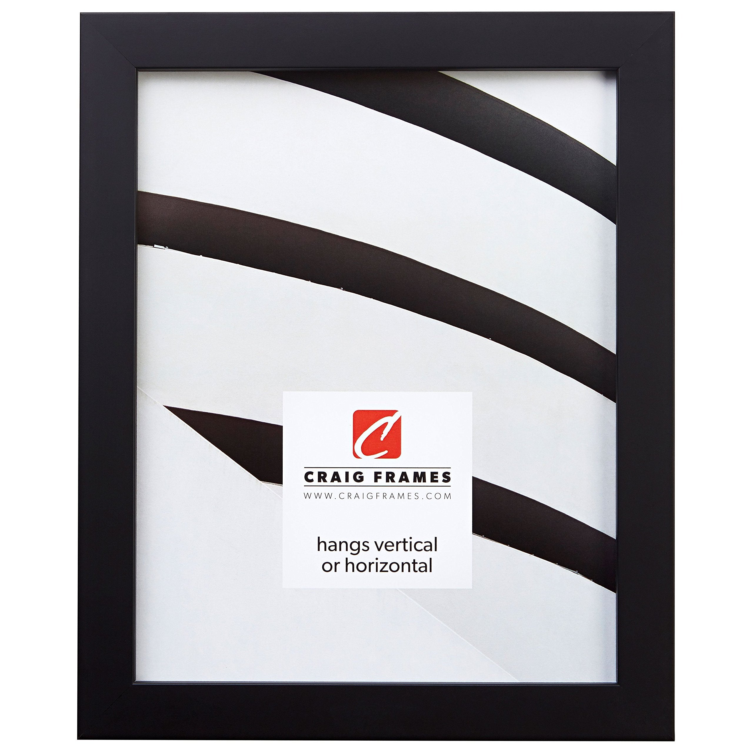 Craig Frames Confetti, Modern Black Picture Frame, 12 x 36 Inch