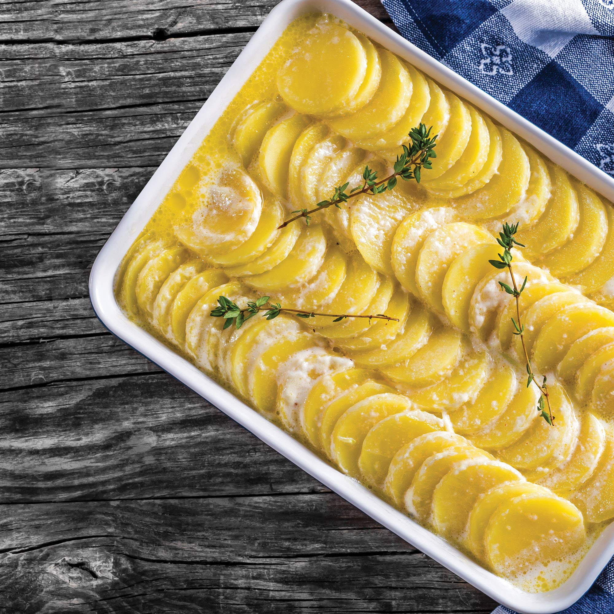 Hic Oblong Rectangular Baking Dish Roasting Lasagna Pan, Fine White Porcelain, 13-Inches X 9-Inches X 2.5-Inches, 13 X 9