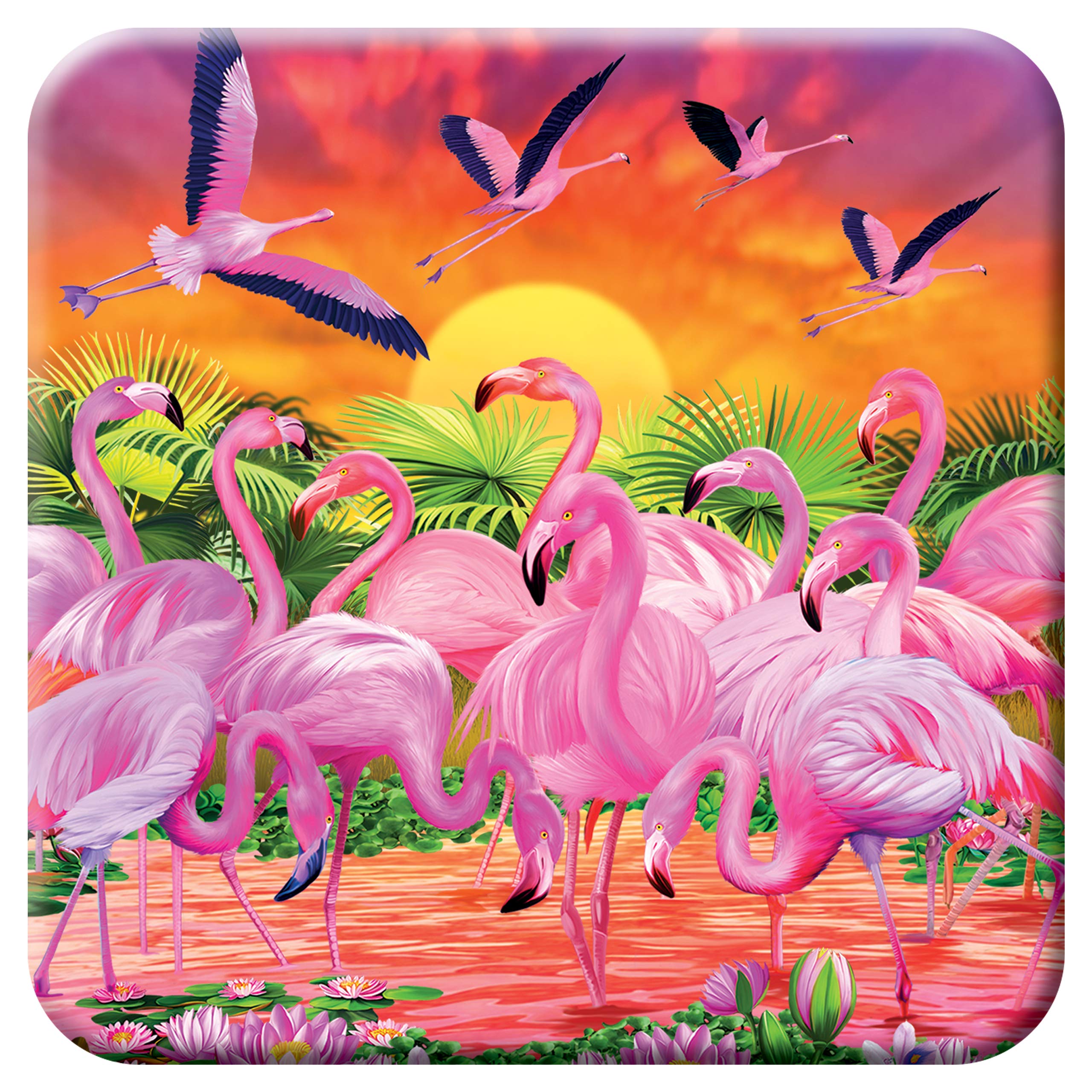 3D Livelife Cork Coaster - Flamingo Lingo From Deluxebase. Lenticular 3D Cork Safari Coaster. Non-Slip Drink Coaster With Origin