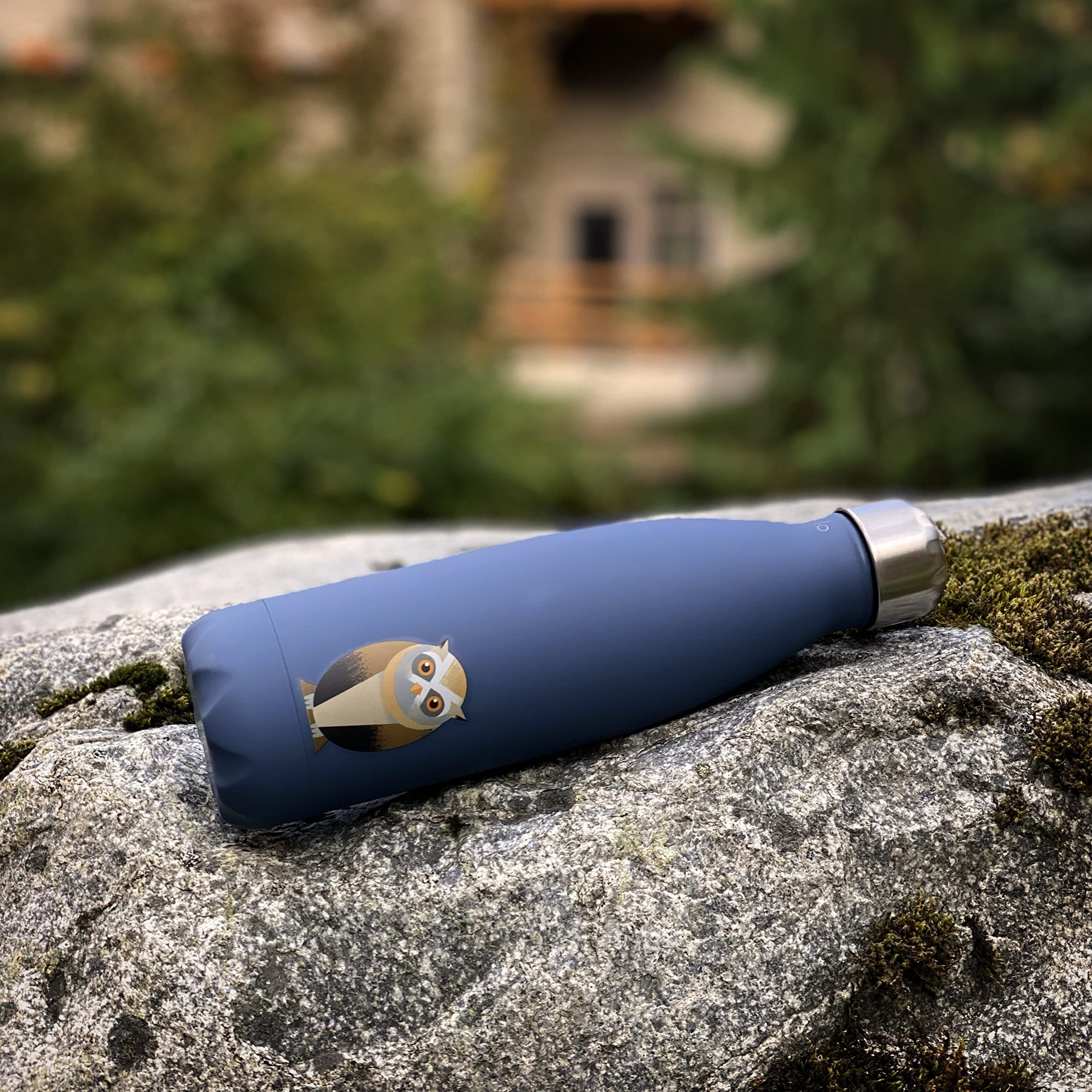 Smllo | Water Bottle With Cute Owl Design | Stainless Steel | Double Wall Insulated | 17Oz, Blue