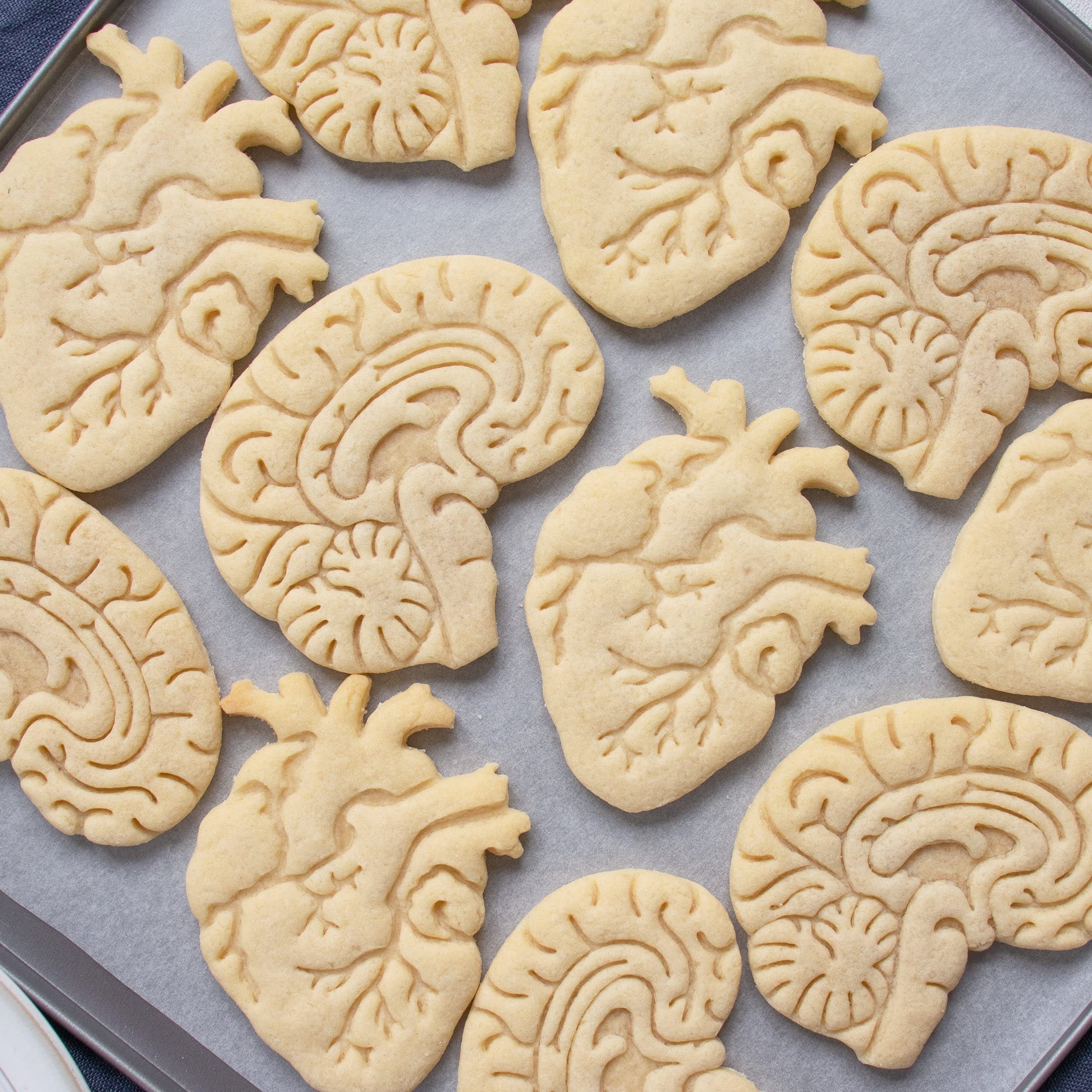 Set Of 2 Anatomical Heart And Brain Cookie Cutters (Designs: Anatomical Brain And Heart), 2 Pieces - Bakerlogy