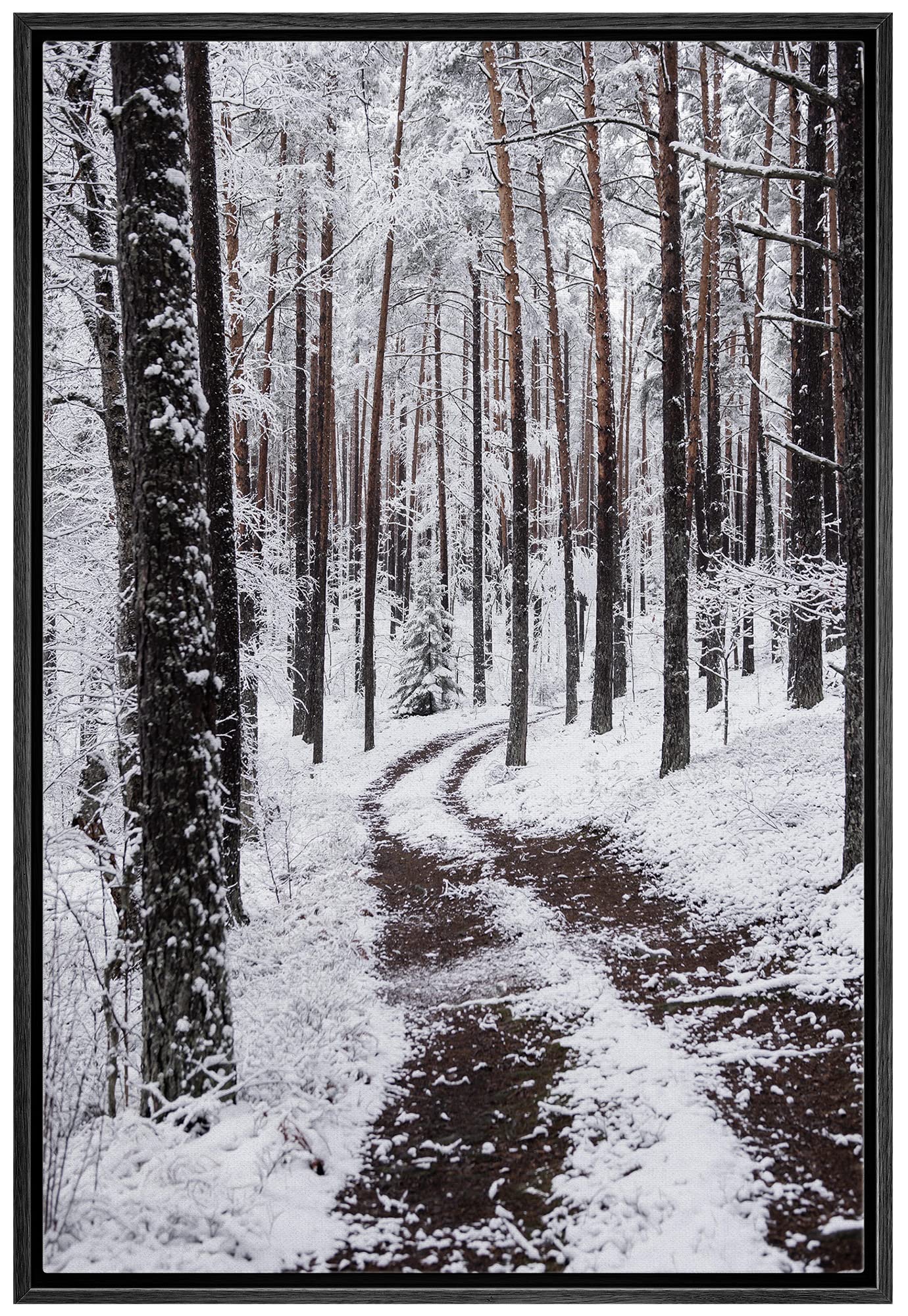 Signwin Framed Canvas Wall Art Winter Trees Cool Dramatic Forest Multicolor Nature Photography Rustic - 16''X24'' Black