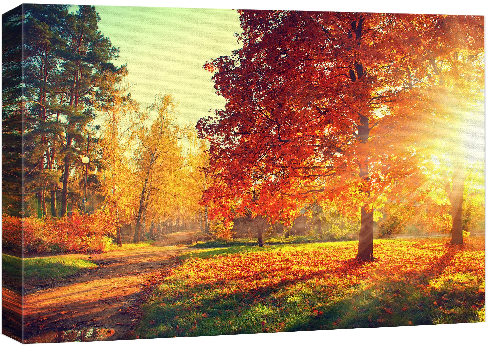 Wall26 Canvas Print Wall Art Path Through Red & Orange Autumn Park Nature Wilderness Photography Modern Art Rustic Scenic Colorf