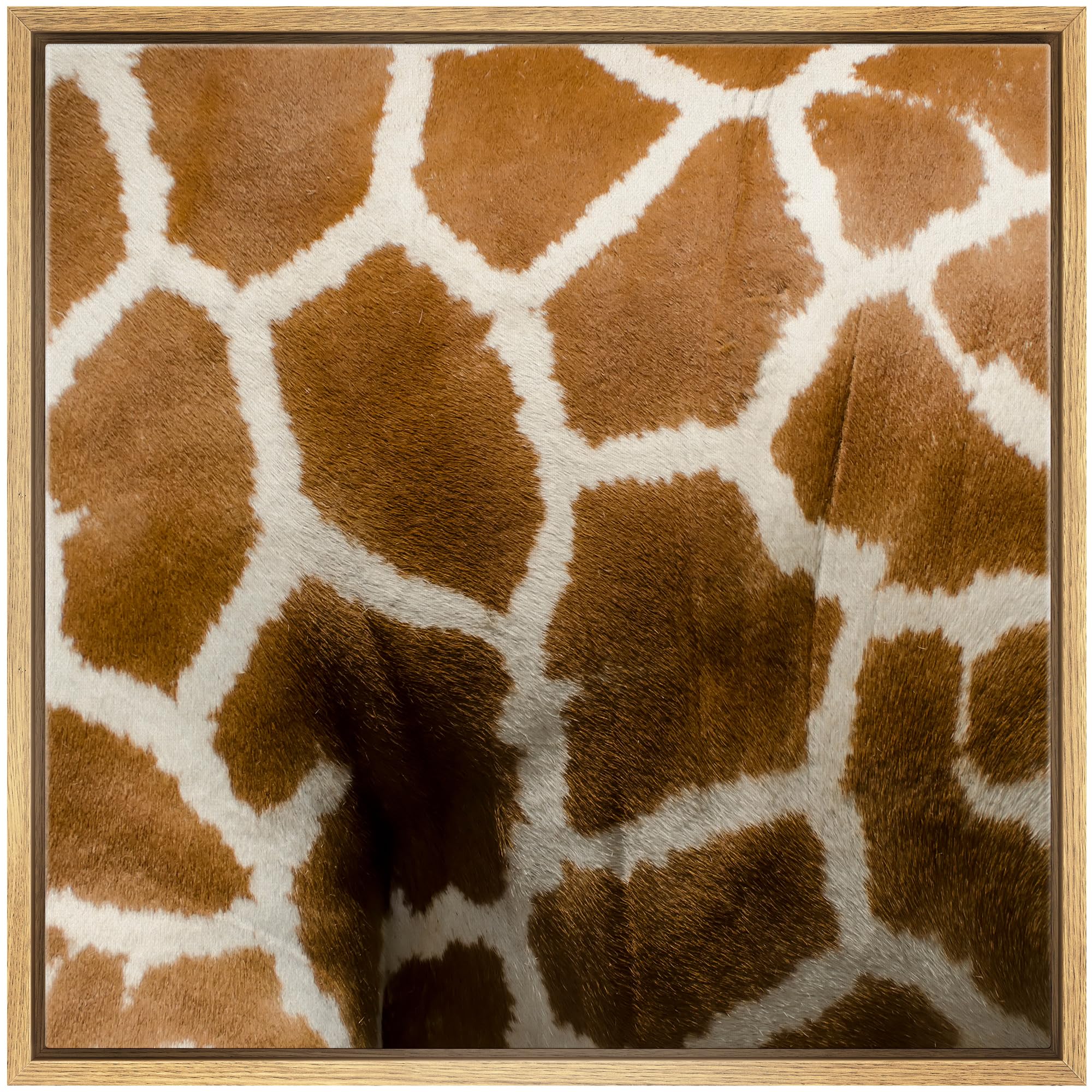 Wall26 Framed Framed Canvas Prints Wall Art Framed Framed Canvas Prints Wall Art - Giraffe Fur/Skin Texture - 24''X24'' Natural