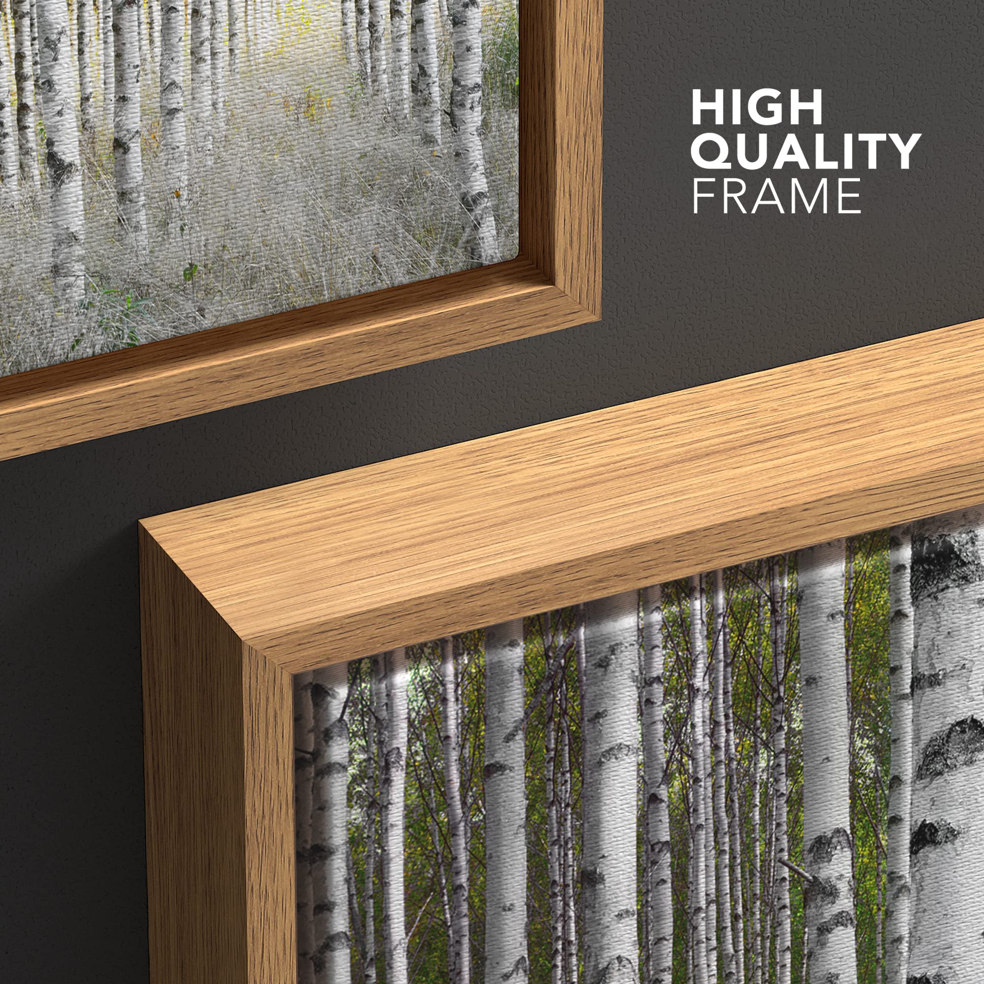 wall26 Framed Canvas Print Wall Art White Birch Trees in Green Forest Nature Wilderness Photography Modern Art Rustic Scenic Colorful Multicolor for Living Room  Bedroom  Office - 16''x24'' Natural