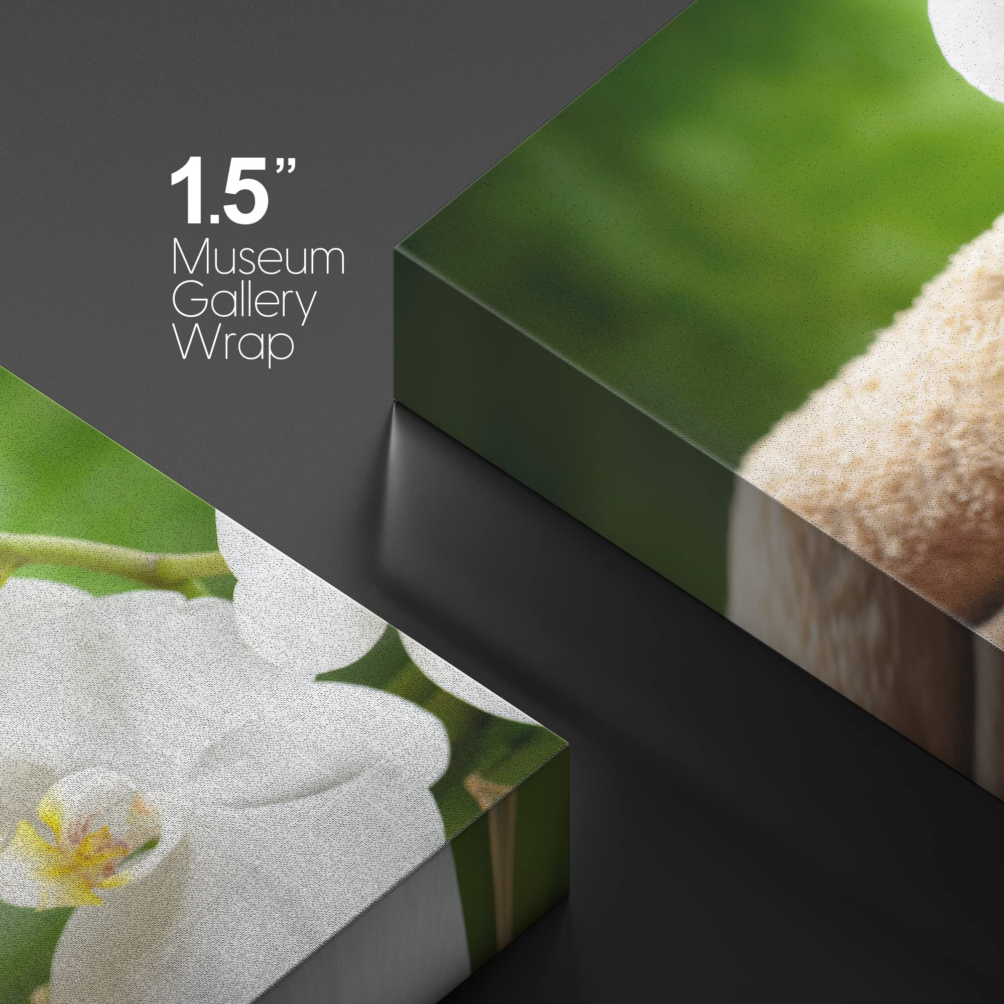 Wall26 Canvas Print Wall Art White Orchid Flowers Meditation Zen Yoga Massage Pebble Nature Wilderness Photography Realism Lands