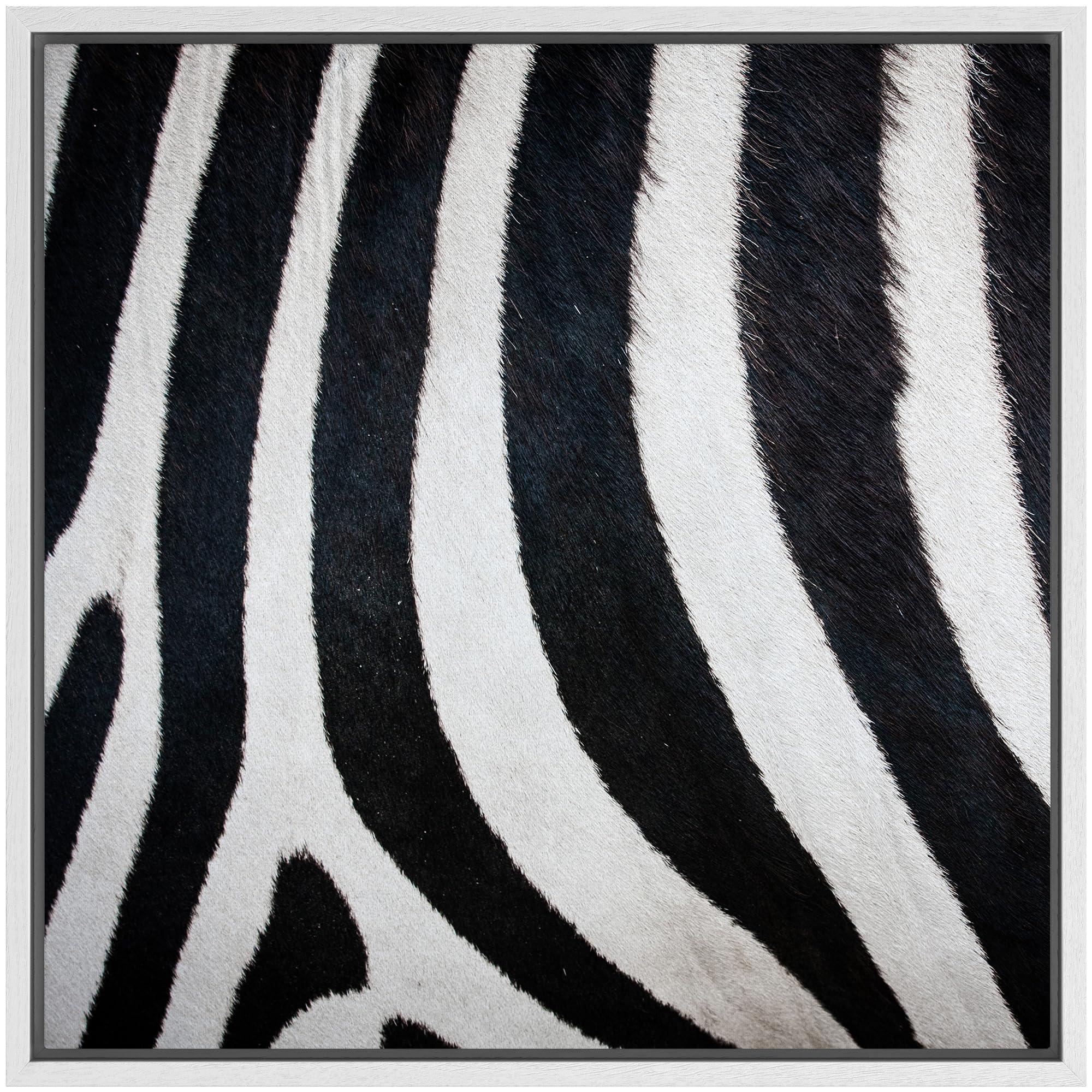 Wall26 Framed Framed Canvas Prints Wall Art Framed Framed Canvas Prints Wall Art - Zebra Fur/Skin Texture - 16''X16'' White