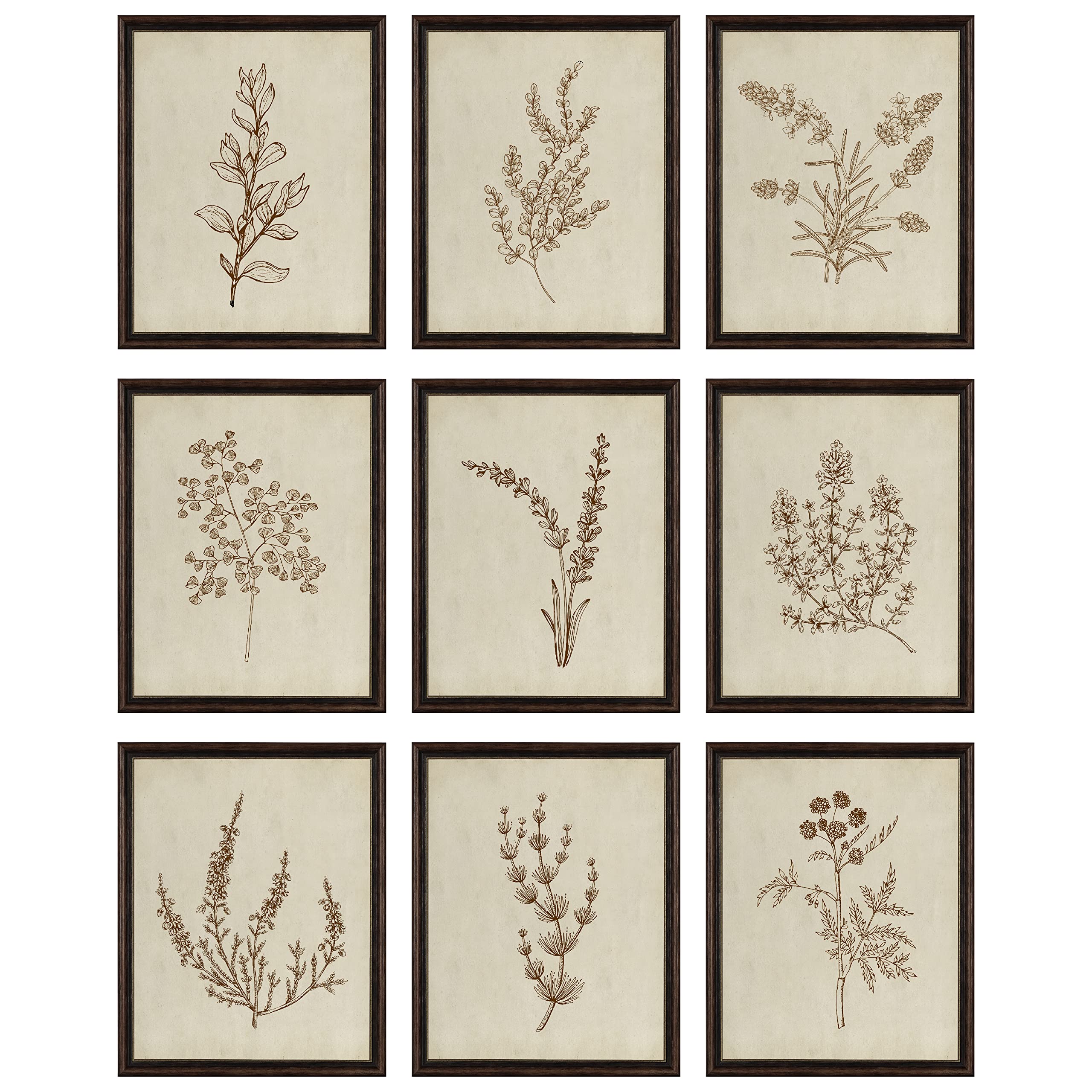 97 Decor Botanical Wall Art - Vintage Botanical Prints, Plant Art Wall Decor, Neutral Floral Wall Art Pictures, Beige Flower Pos
