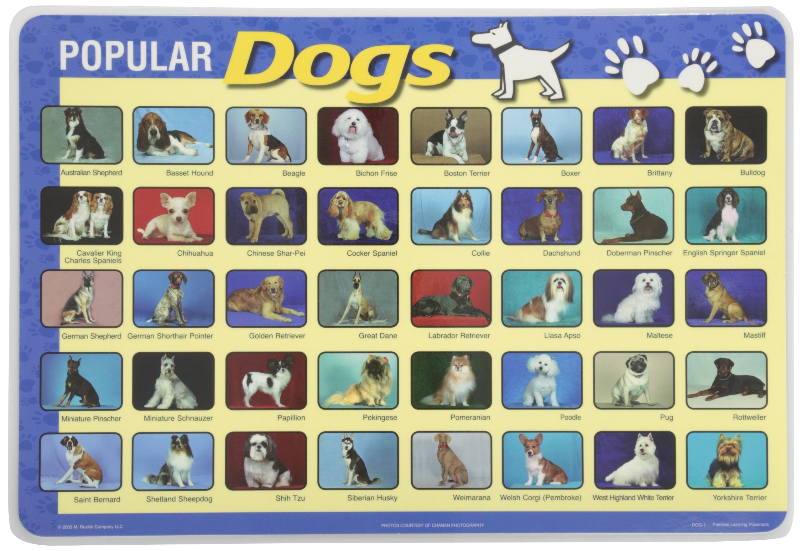 Painless Learning Popular Dogs Placemat, Medium