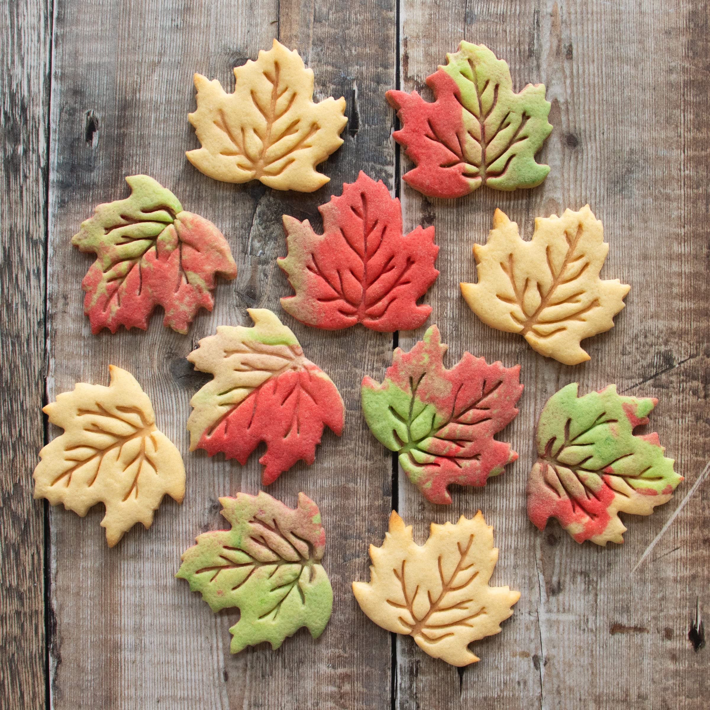Maple Leaf Cookie Cutter, 1 Piece - Bakerlogy