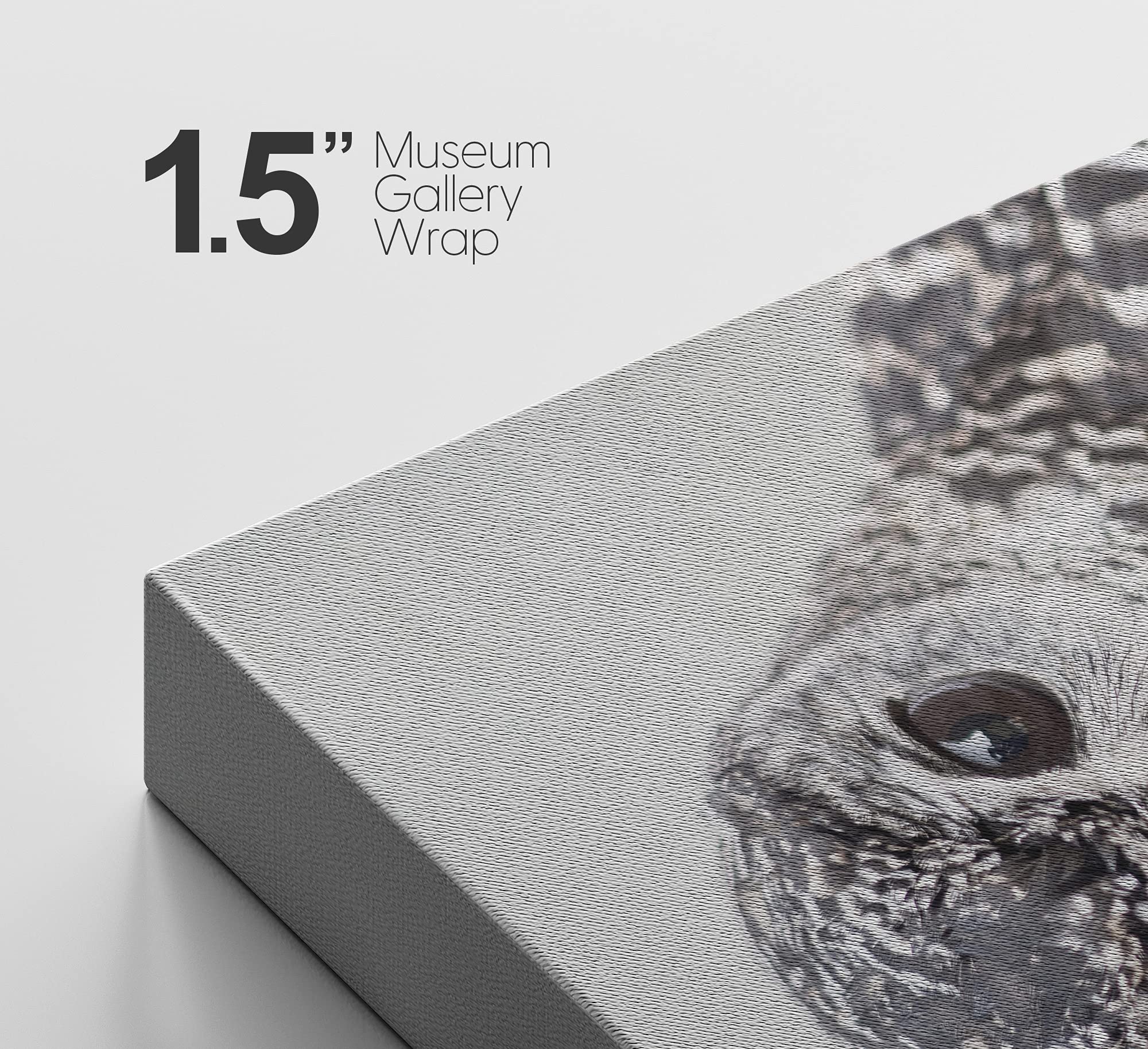 Signford Canvas Print Wall Art Gray Owl With Bokeh Camera Effect Animals Wildlife Photography Realism Rustic Portrait Relax/Calm