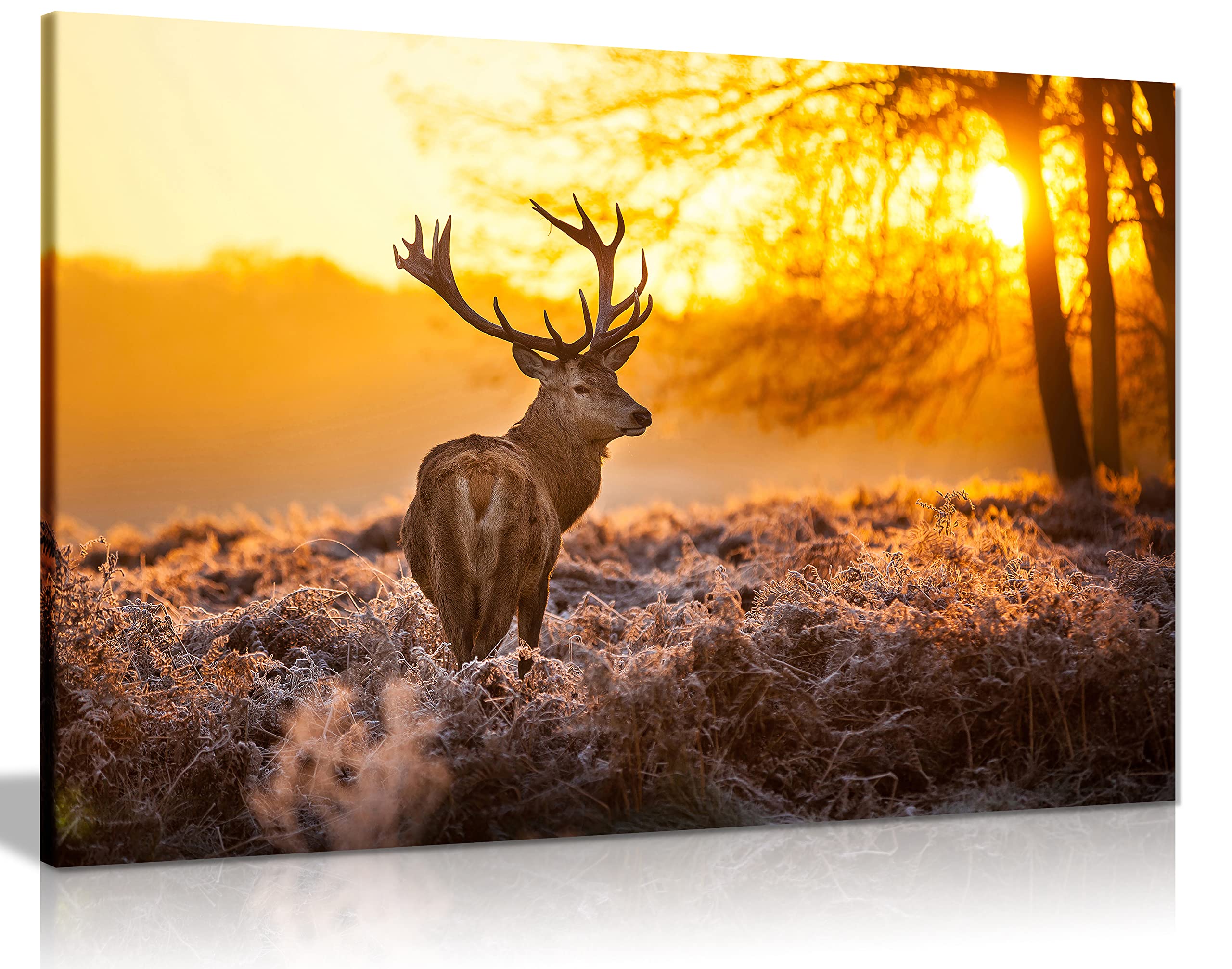 Panther Print, Animal Canvas Wall Art, Framed Hunting Pictures, Home Decoration Artwork, Red Deer In Morning Sun Canvas, Prints