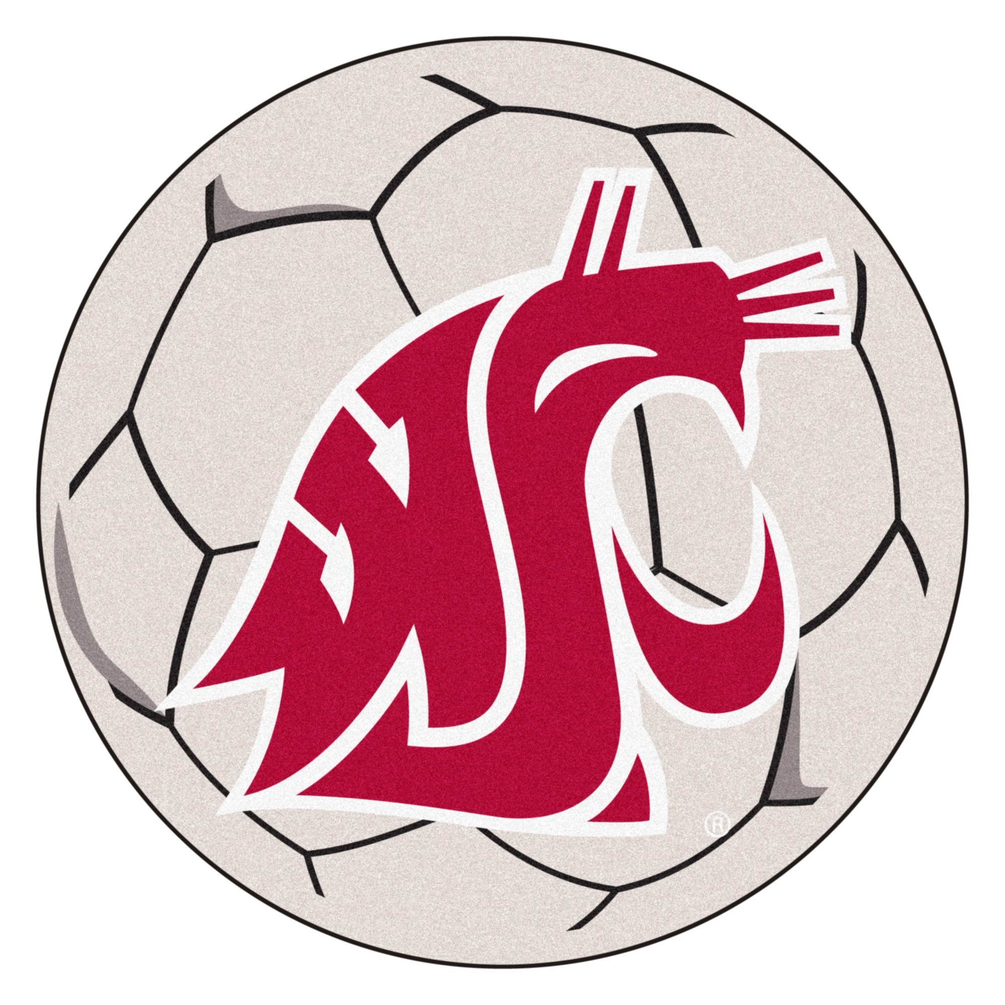 FANMATS Washington State Cougars NCAA Soccer Ball Round Floor Mat (29)