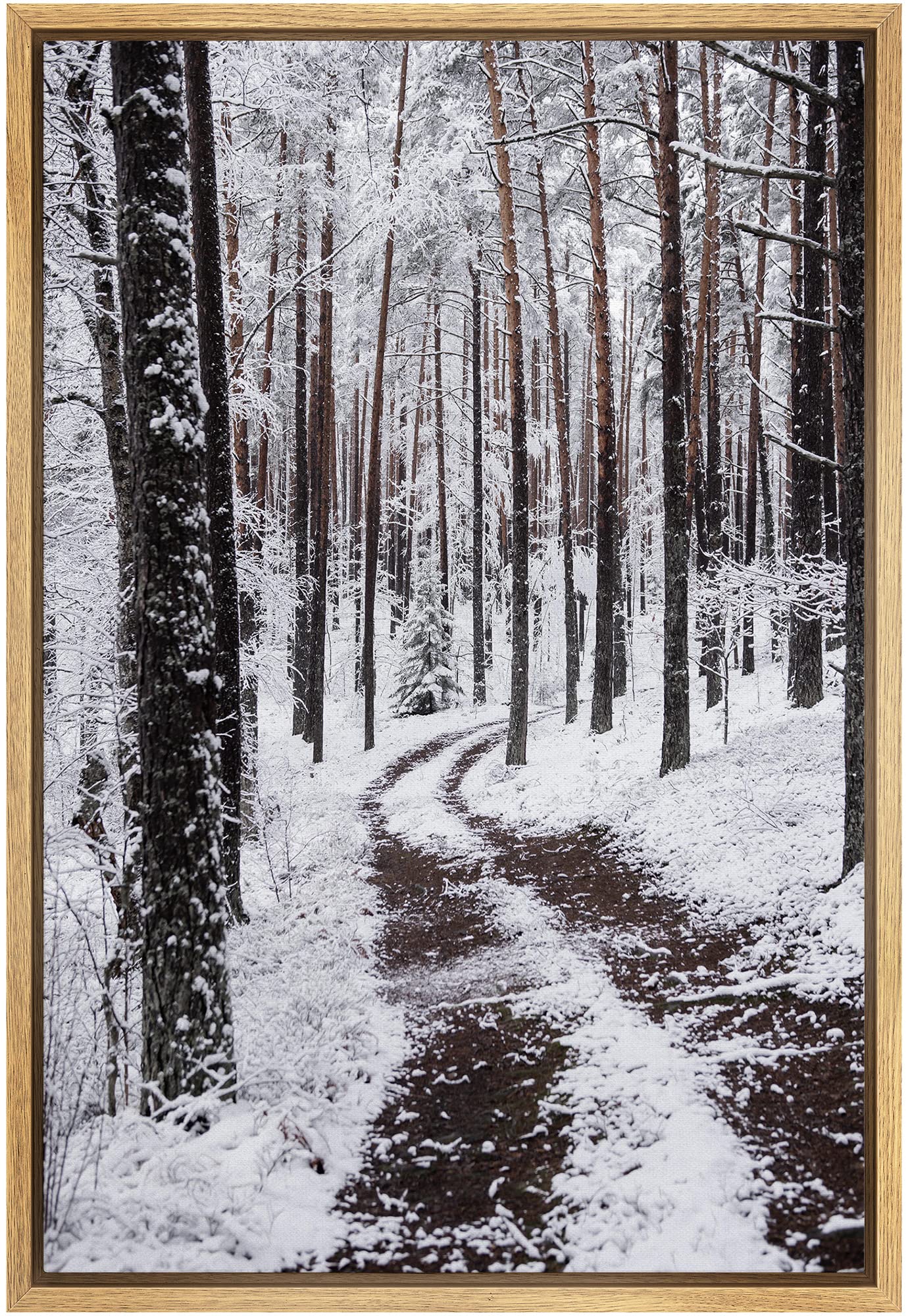 Signwin Framed Canvas Wall Art Winter Trees Cool Dramatic Forest Multicolor Nature Photography Rustic - 24''X36'' Natural