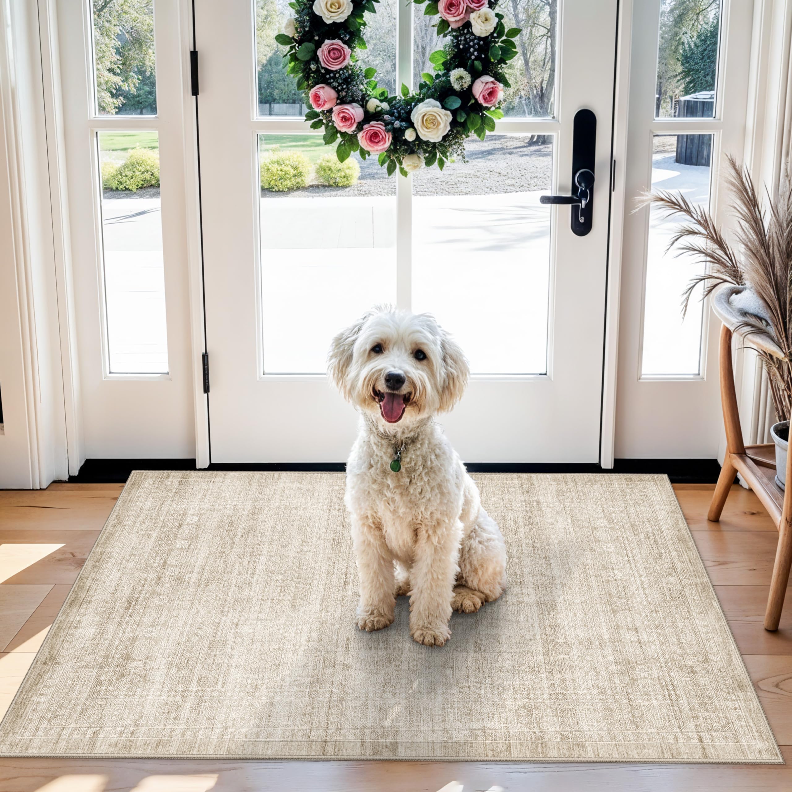 Washable 3x4 Entryway Area Rugs: Abstract Water-Resistant Kitchen Rug Indoor Low Pile Nursery Room Carpet Anti-Slip Netural Bath