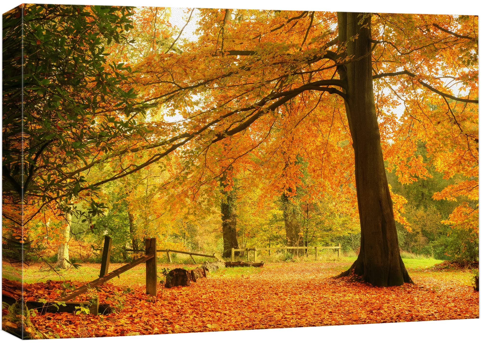 Wall26 Canvas Print Wall Art Yellow & Orange Autumn And Fall Forest Floral Nature Photography Realism Rustic Scenic Relax/Calm M