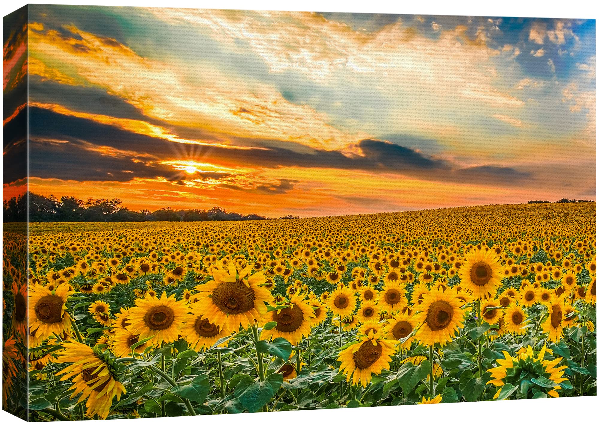 Signford Canvas Print Wall Art Summer Sunflower Field Sunset Nature Wilderness Photography Modern Art Decorative Multicolor Zen