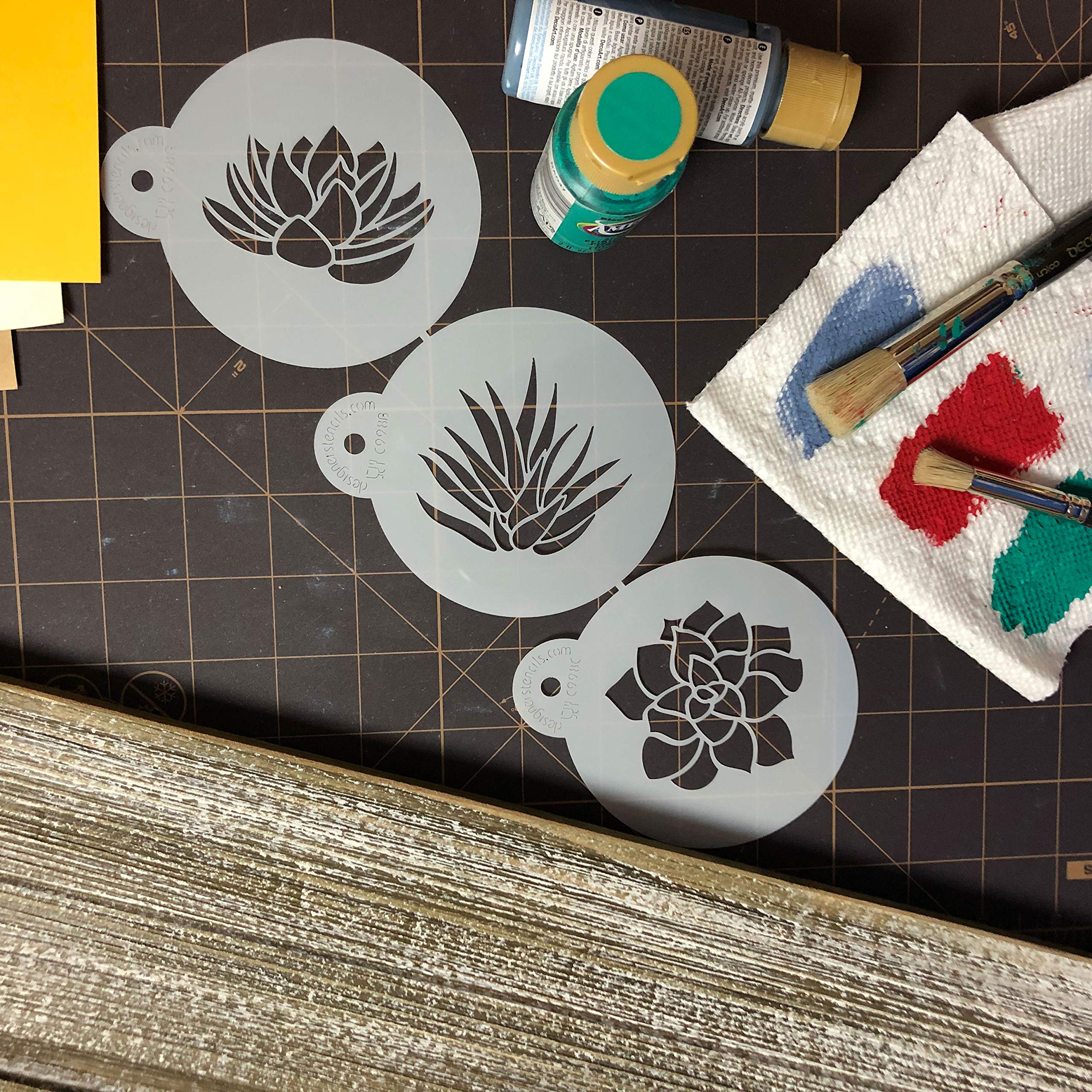 Succulent Plants Cookie Stencil Set C998 By Designer Stencils