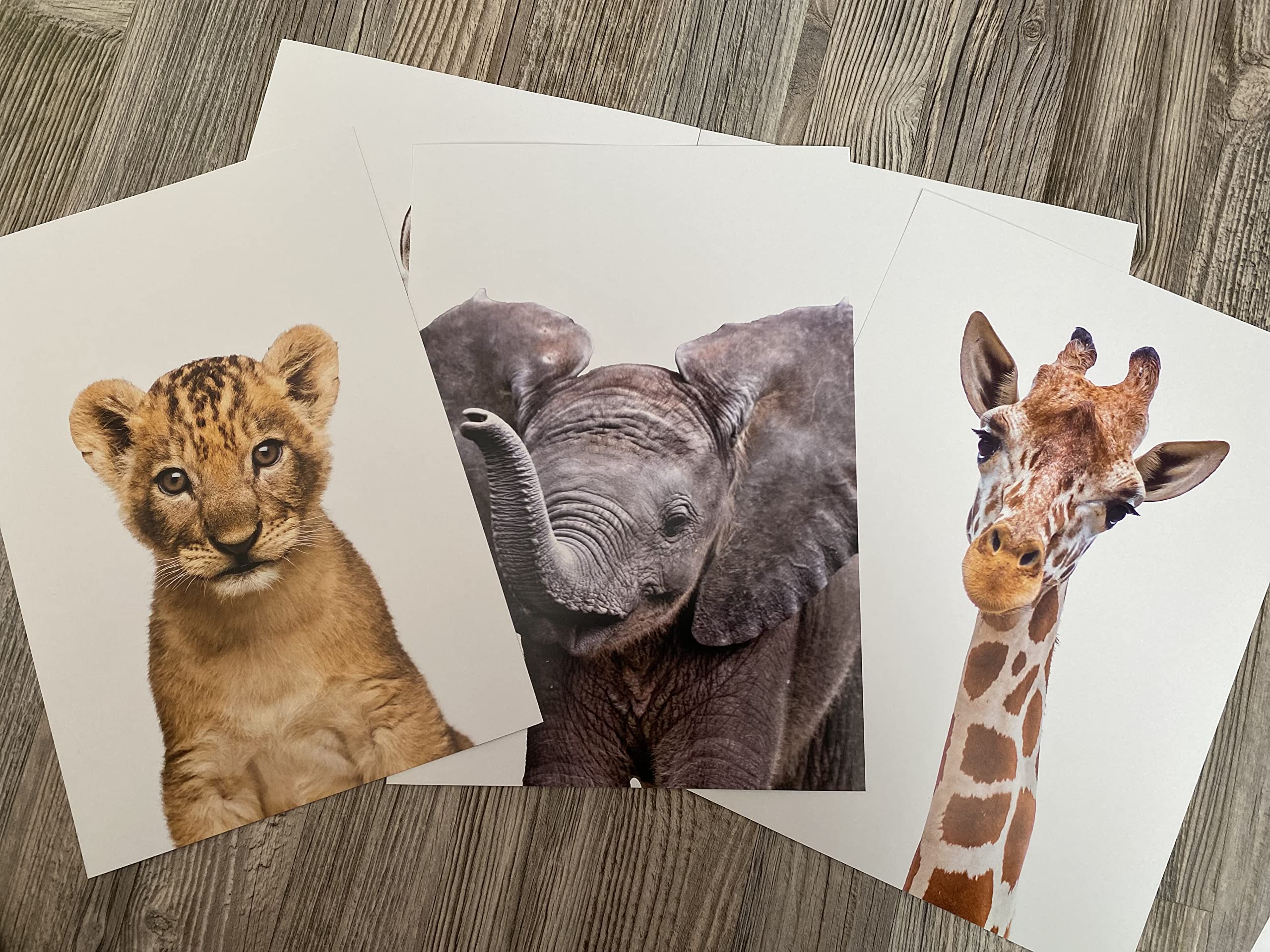 Realistic Baby Safari Animals Set Of 3 Girl Or Boy Unframed Nursery Prints, Bedroom Playroom Jungle Decor Wall Art Posters, Gira
